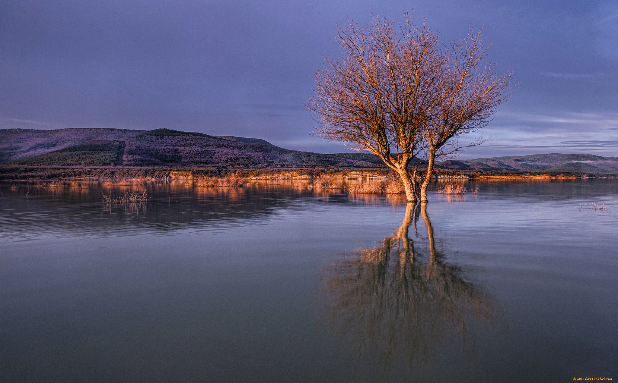 природа, реки, озера, тучи, холмы, дерево, озеро
