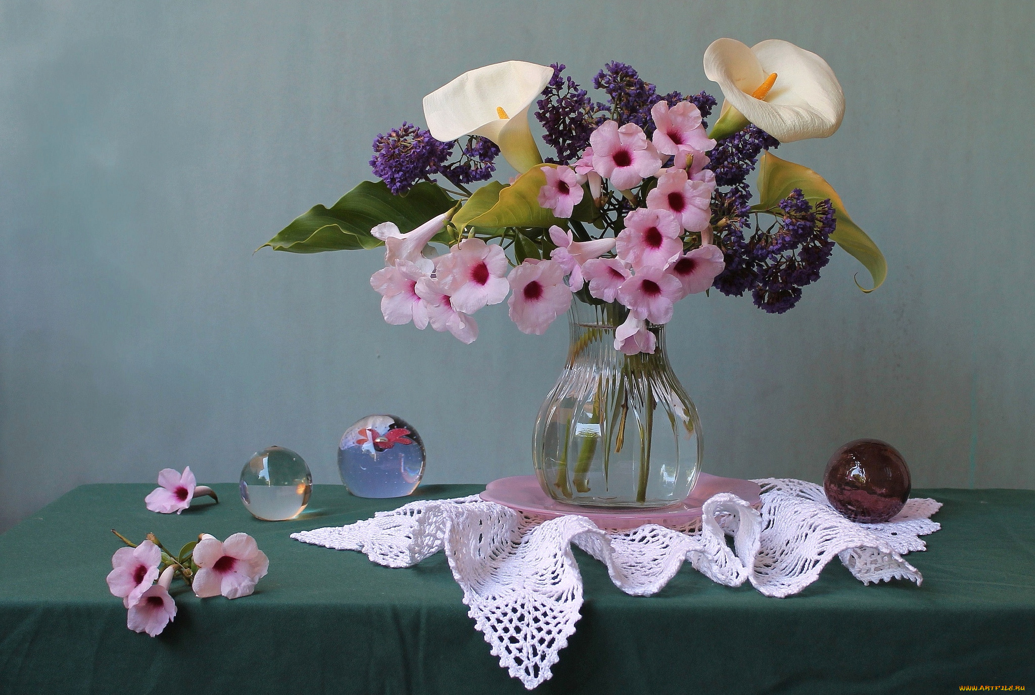 цветы, букеты, композиции, каллы, кампсис, шары