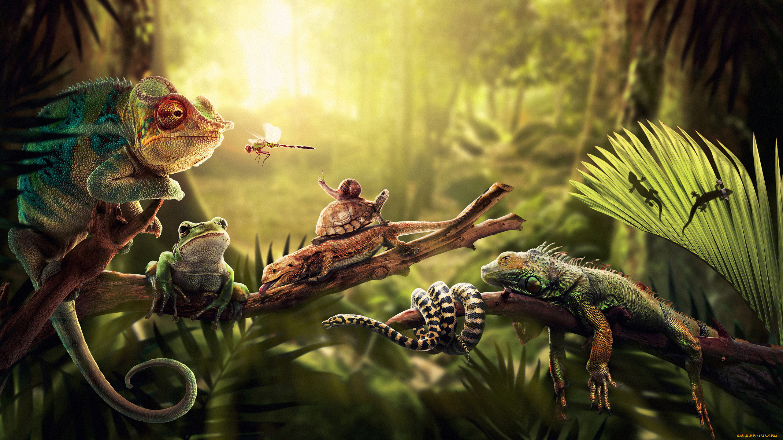 разное, компьютерный, дизайн, животные, ветка, джунгли
