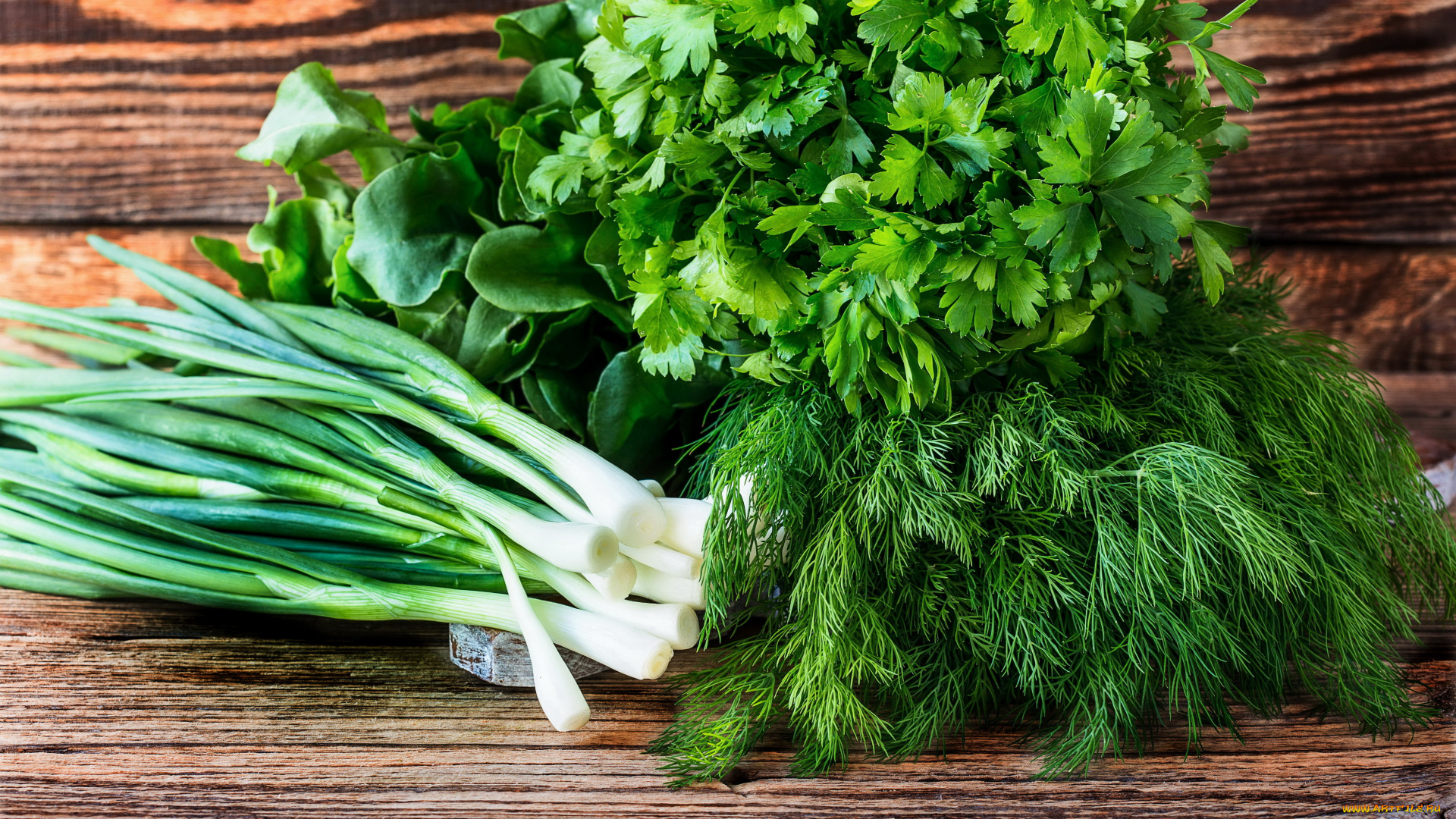 еда, разное, лук, укроп, петрушка, овощи