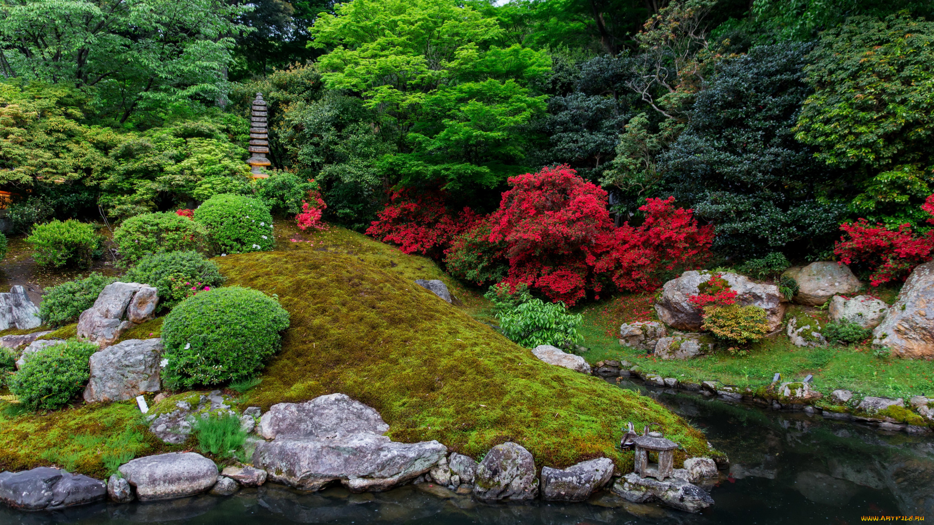 природа, парк, камни, пруд, сад, деревья, кусты