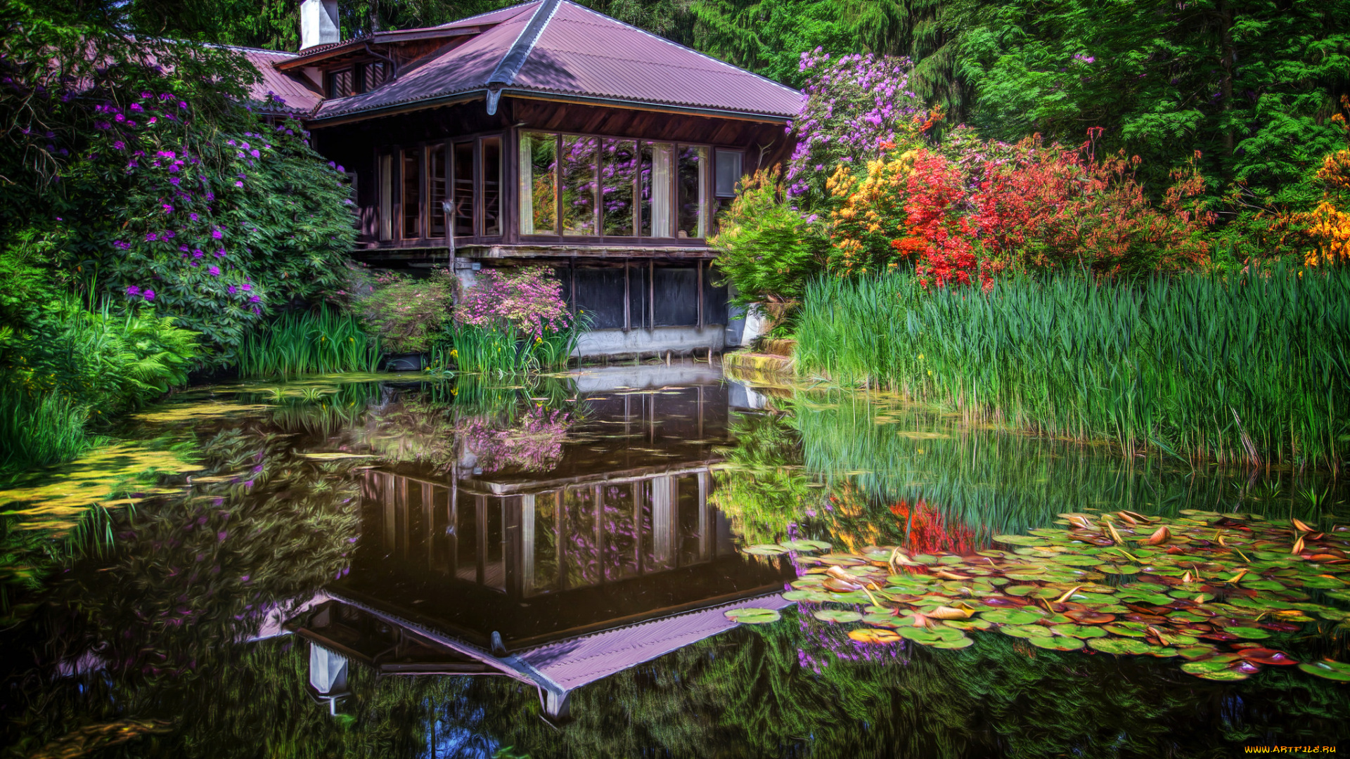 природа, парк, павильон, пруд