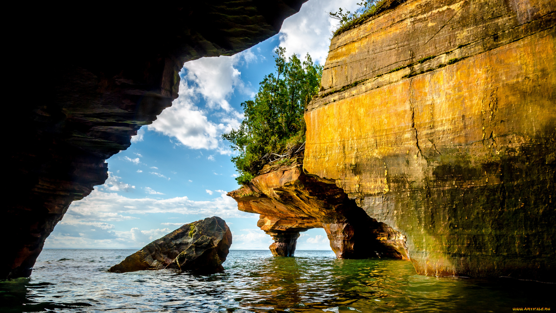 природа, побережье, деревья, скала, океан