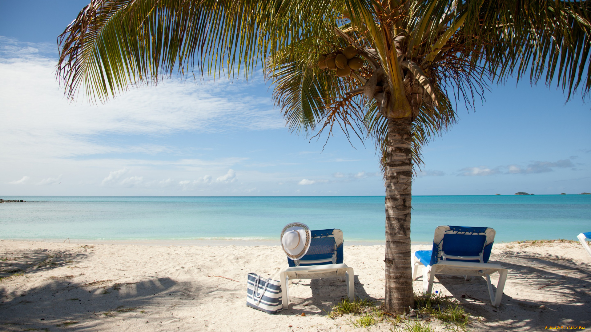природа, тропики, beach, accessories, vacation, sun, лето, пляж, море, отдых, пальмы, песок, summer