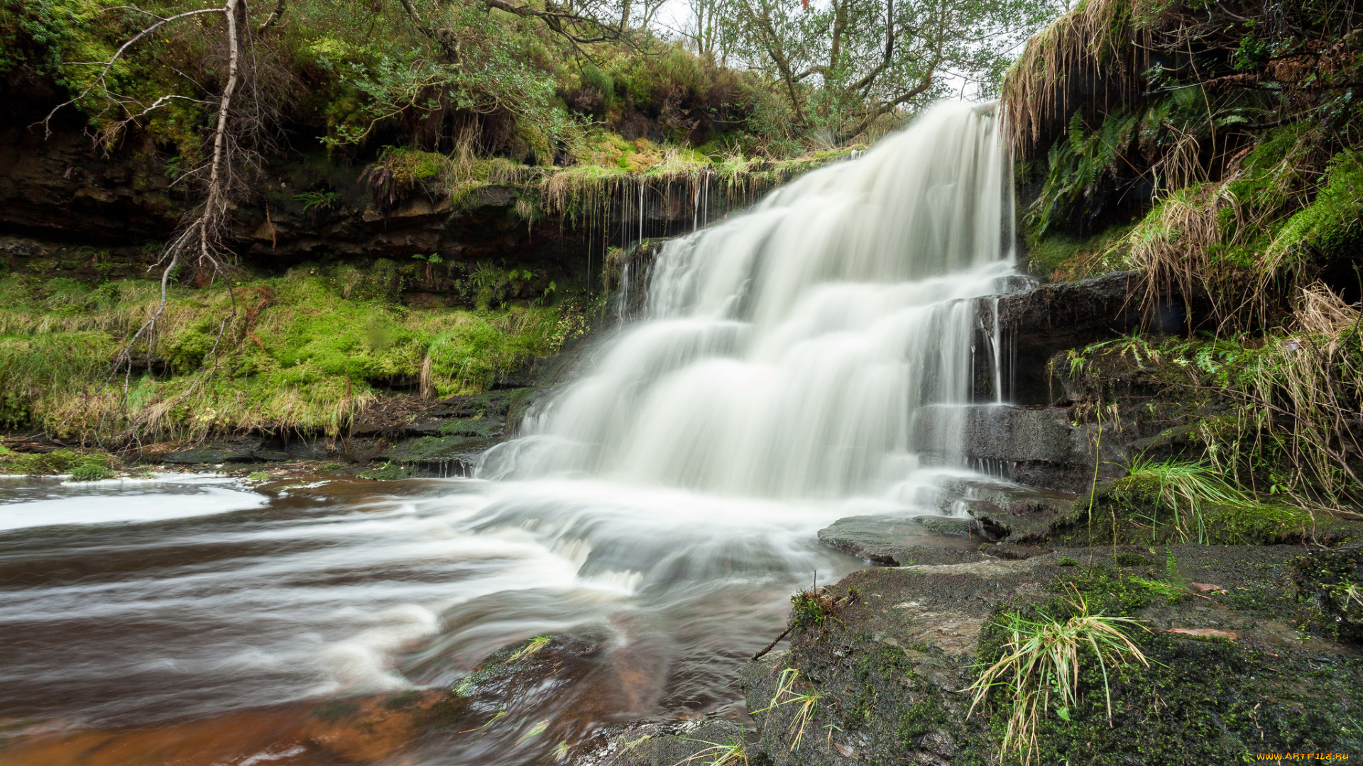 природа, водопады, лес, водопад, река