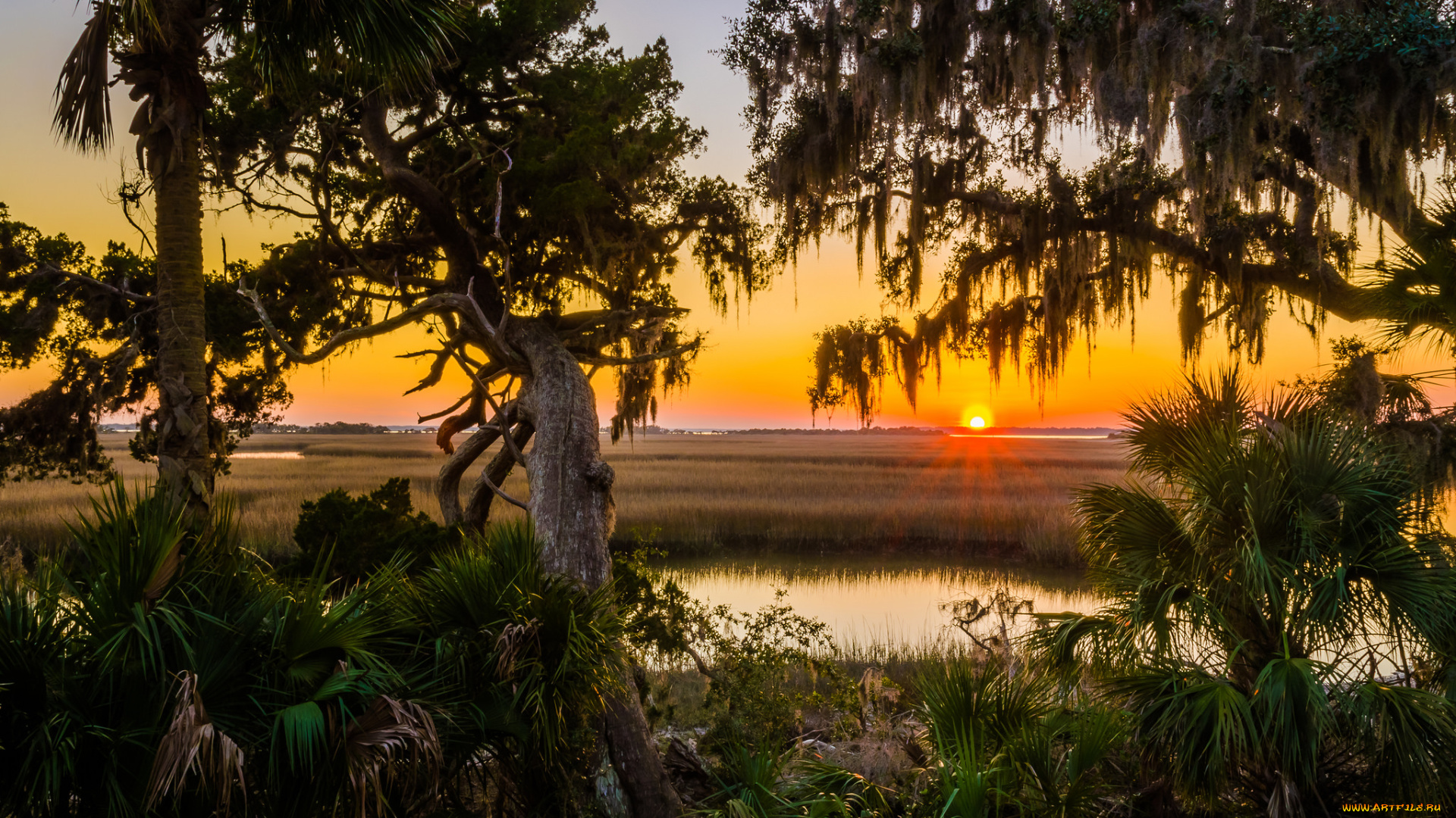 природа, восходы, закаты, рассвет, тропики