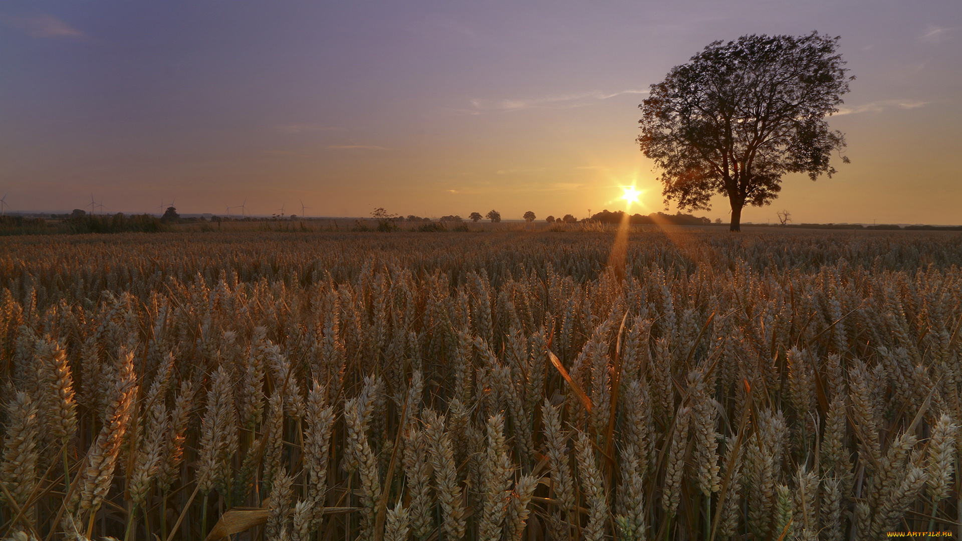 природа, восходы, закаты, заря