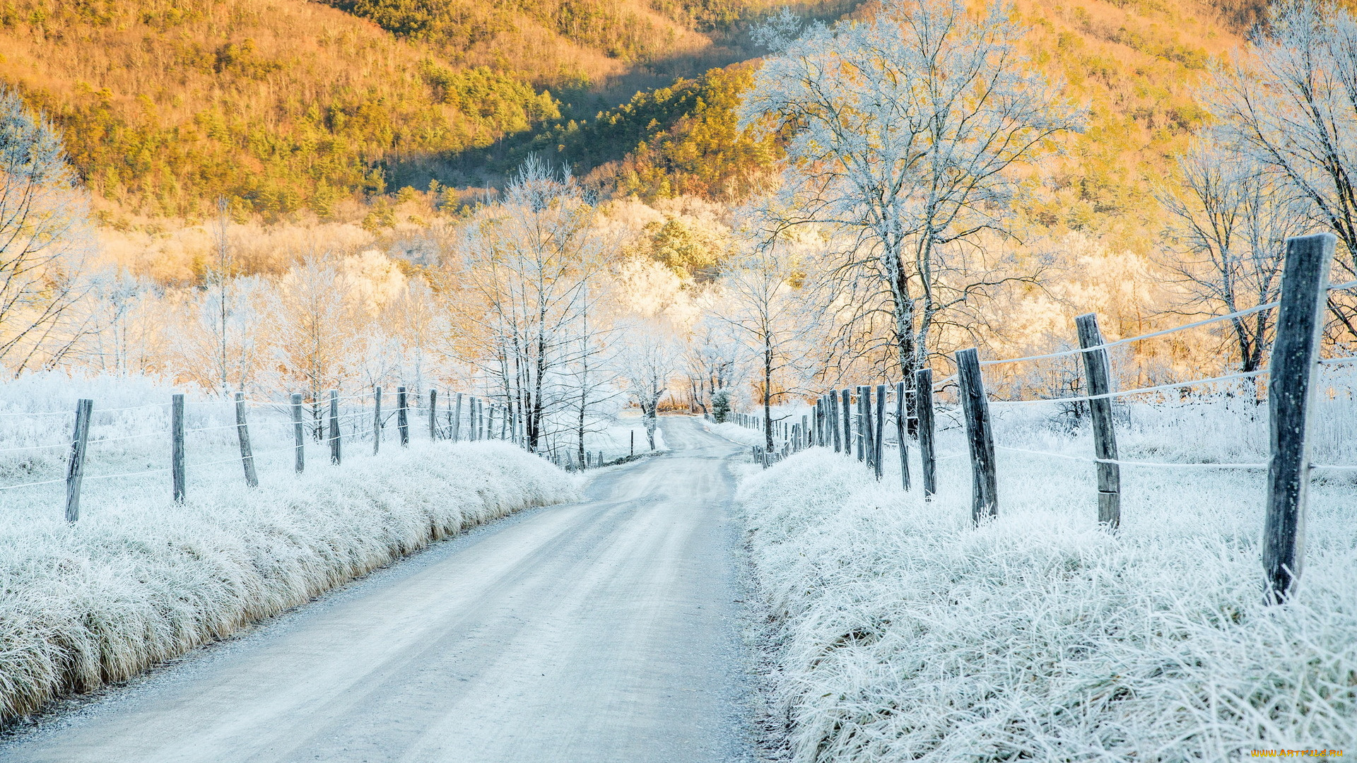 природа, зима, cades, cove, tennessee, hoar, frost, cold, sunlight, mountains, забор, иней, деревья