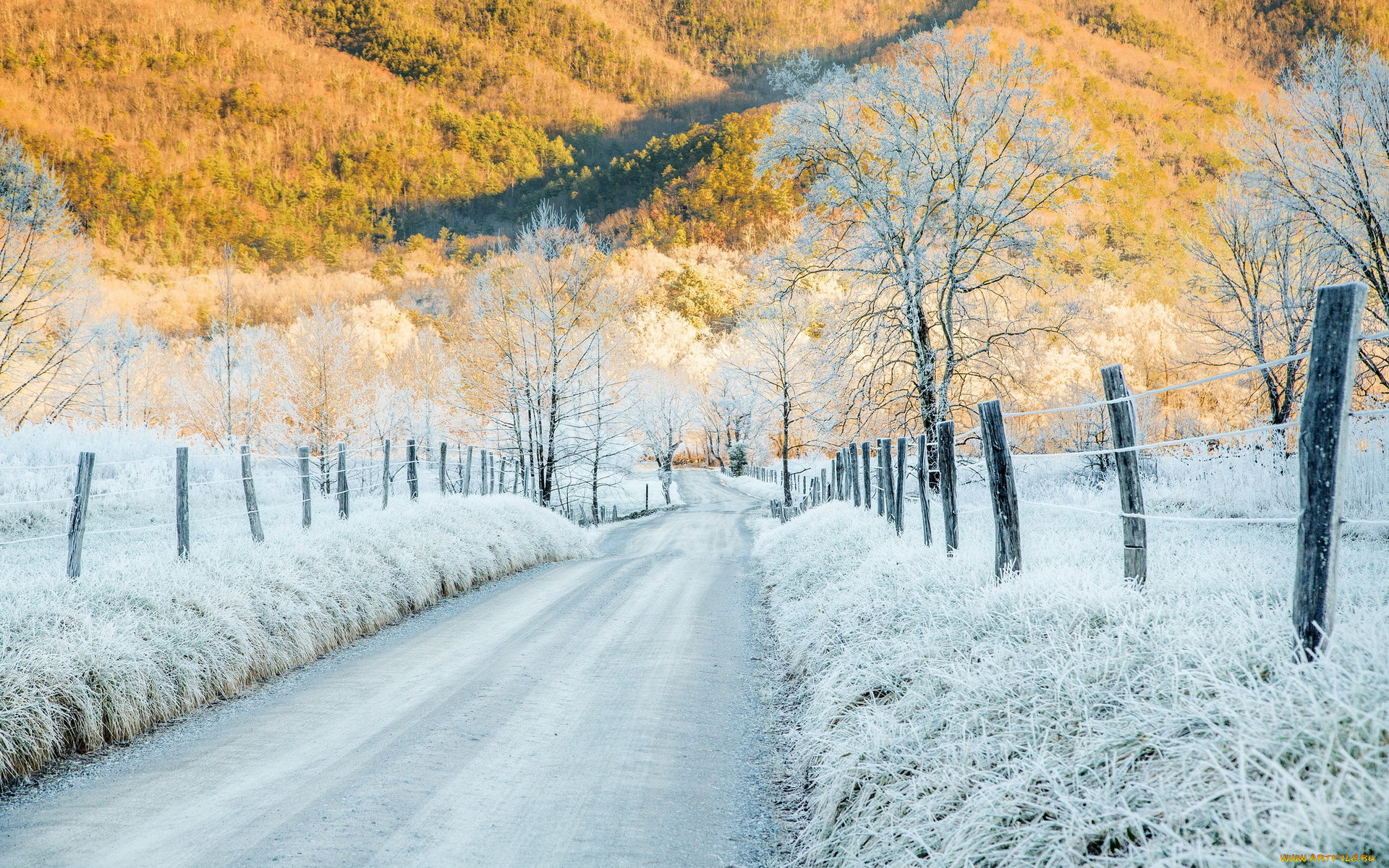 природа, зима, cades, cove, tennessee, hoar, frost, cold, sunlight, mountains, забор, иней, деревья