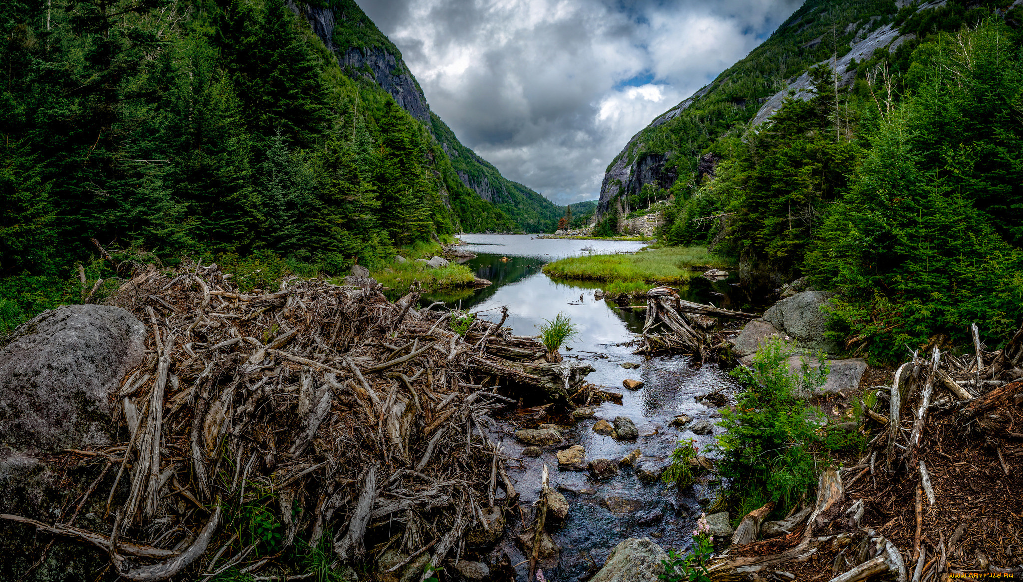 природа, реки, озера, река, лес, горы