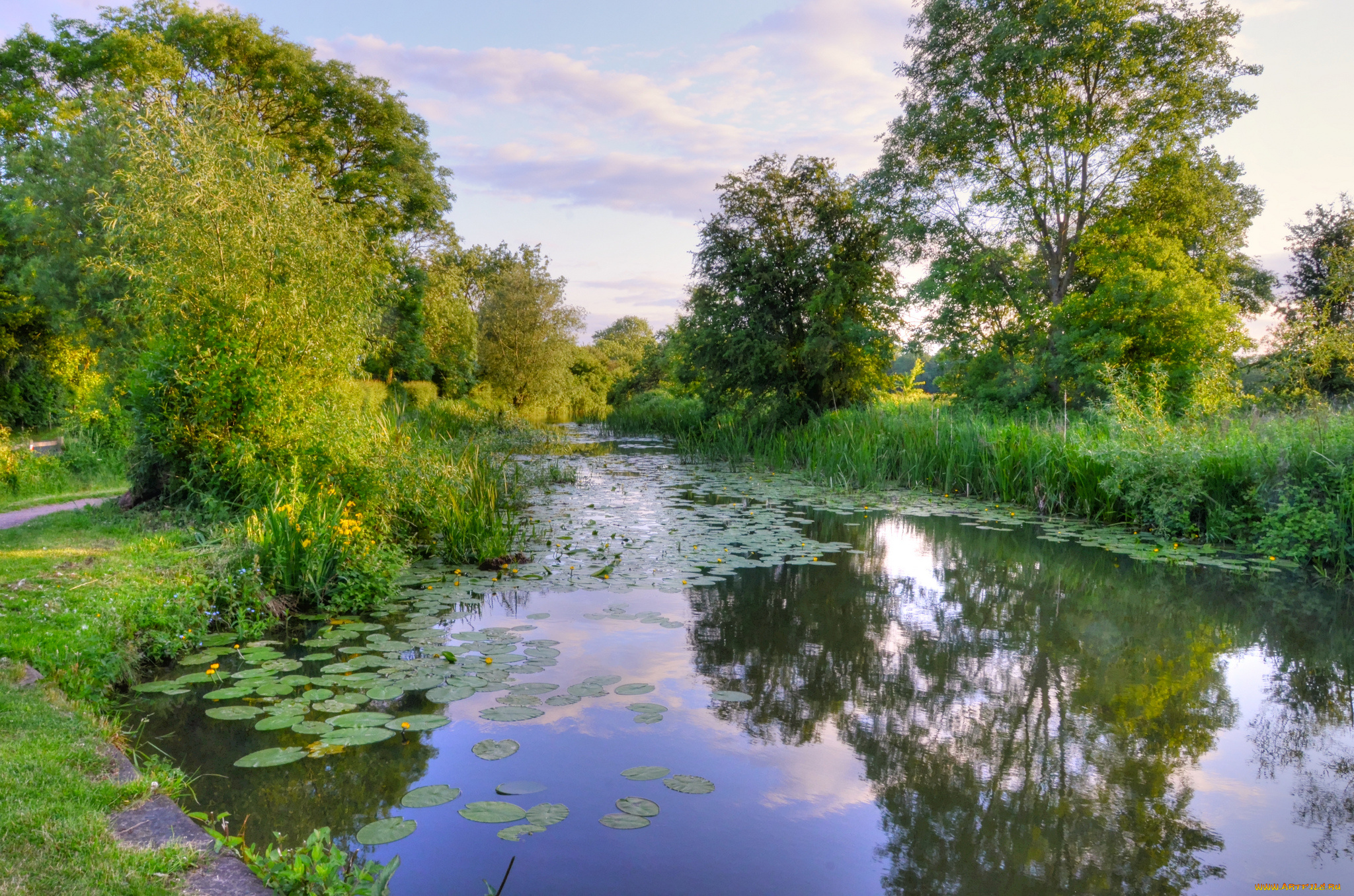 природа, реки, озера, река, лес