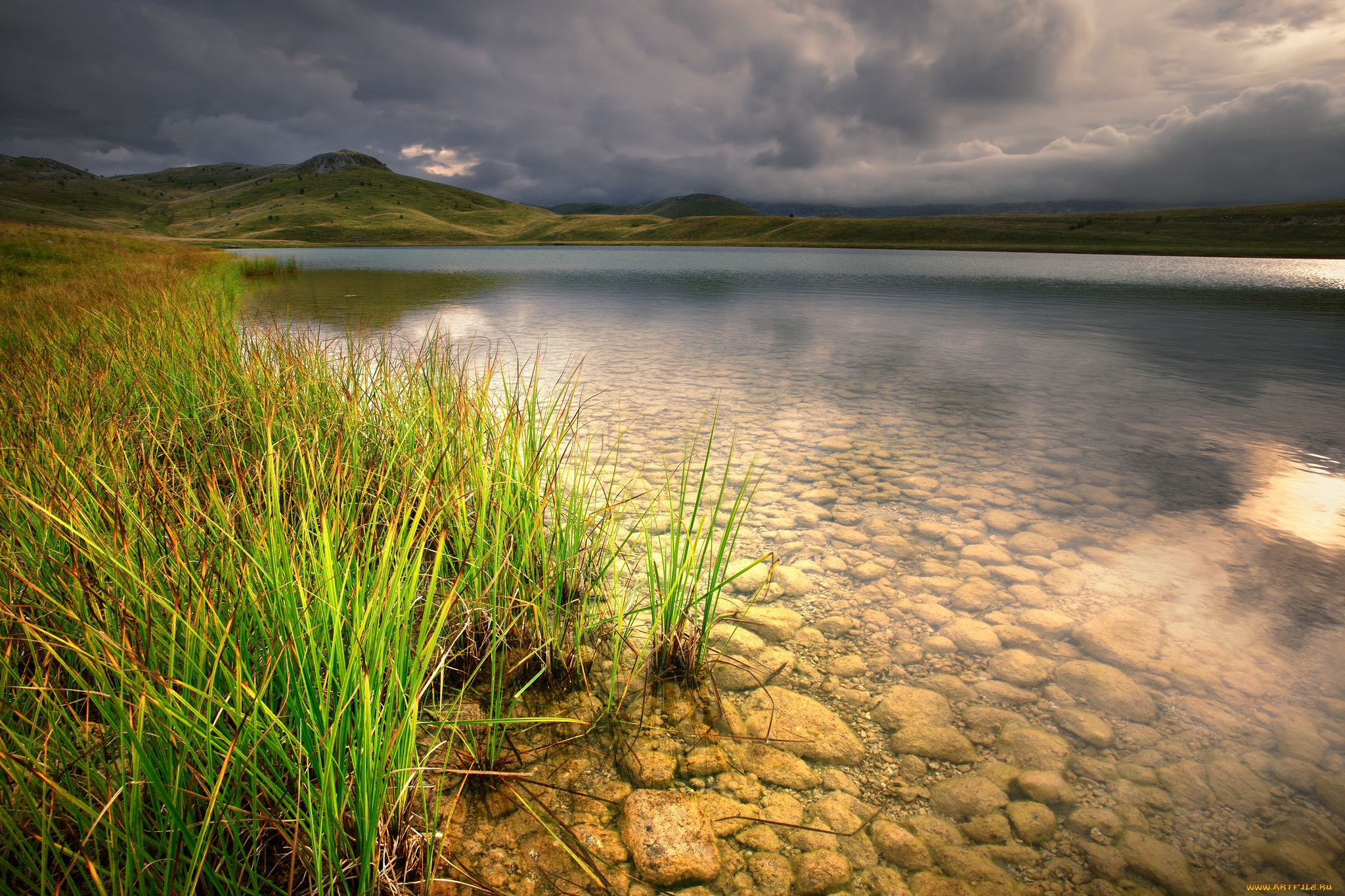природа, реки, озера, трава, отмель, река