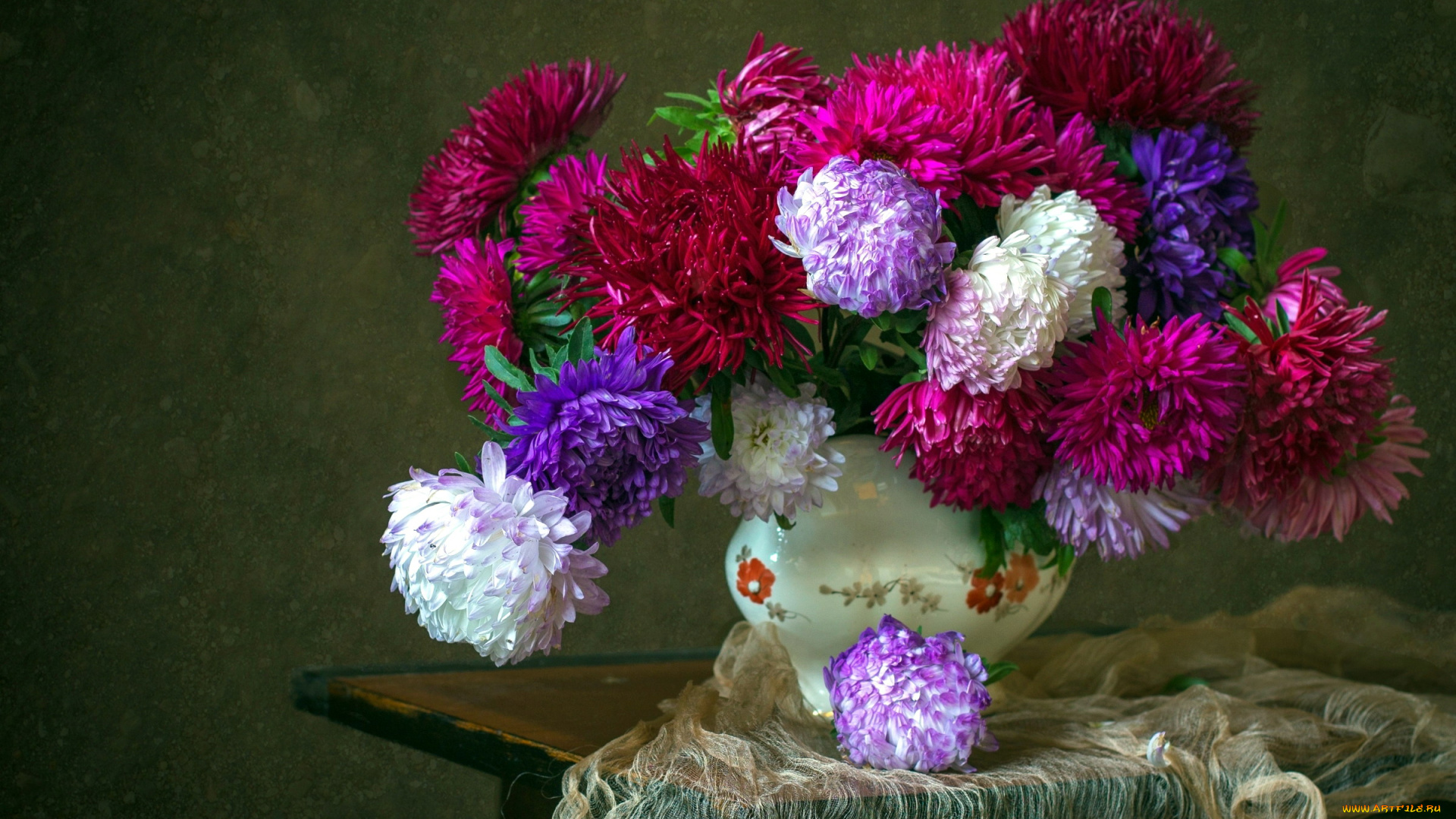 цветы, астры, разноцветные