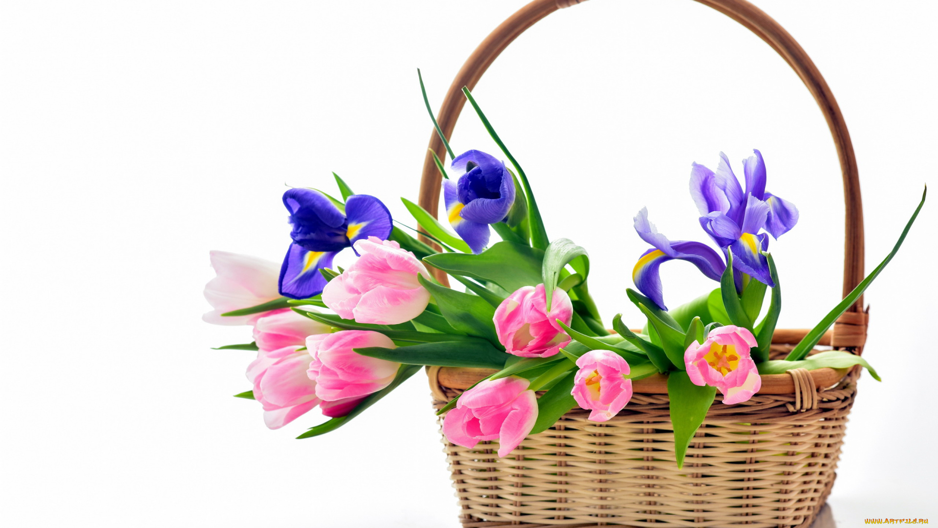 цветы, разные, вместе, корзинка, тюльпаны, ирисы