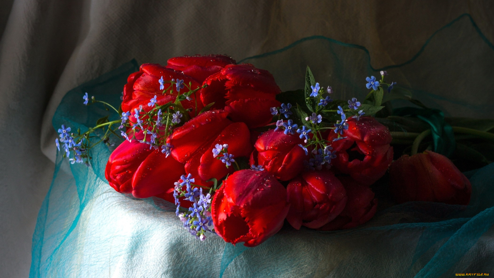 цветы, разные, вместе, незабудки, тюльпаны