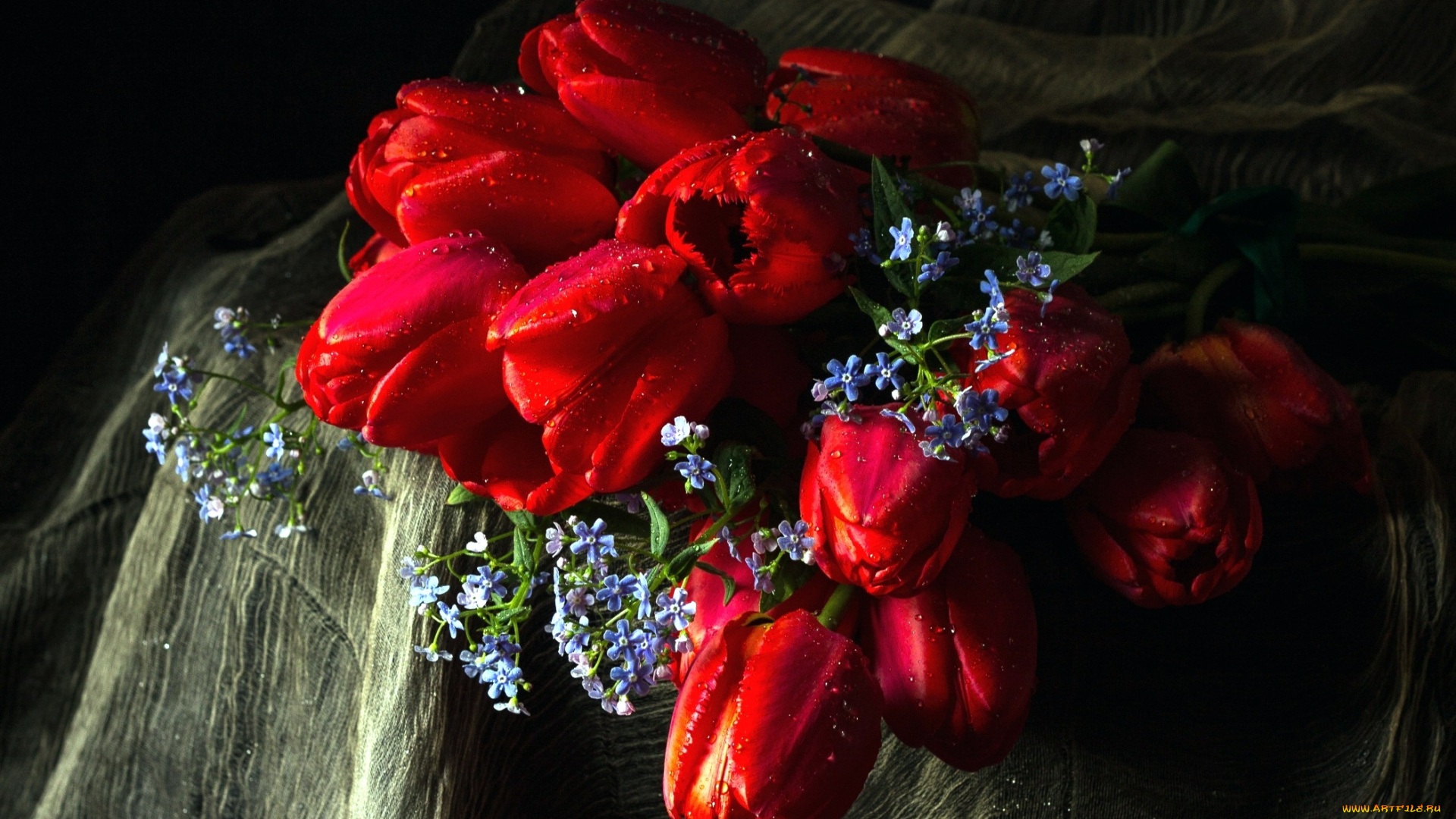 цветы, разные, вместе, незабудки, тюльпаны