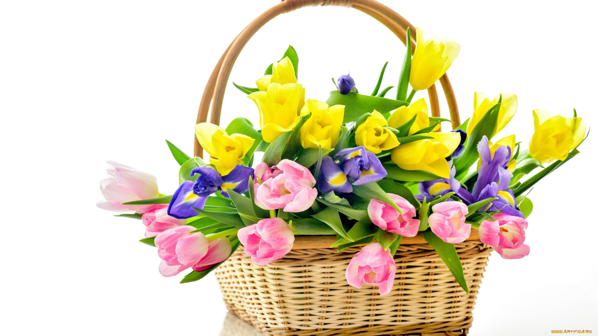 цветы, разные, вместе, тюльпаны, ирисы, корзинка