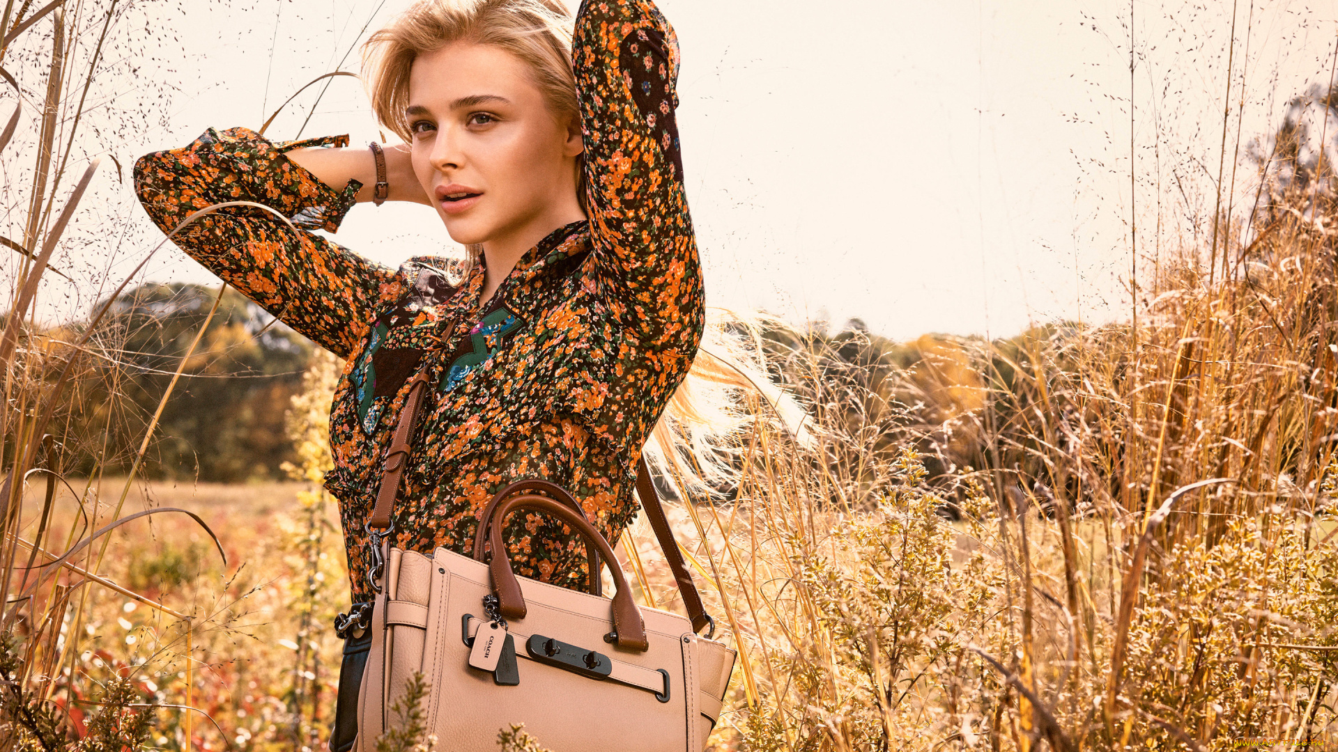 девушки, chloe, grace, moretz, chloe, grace, moretz