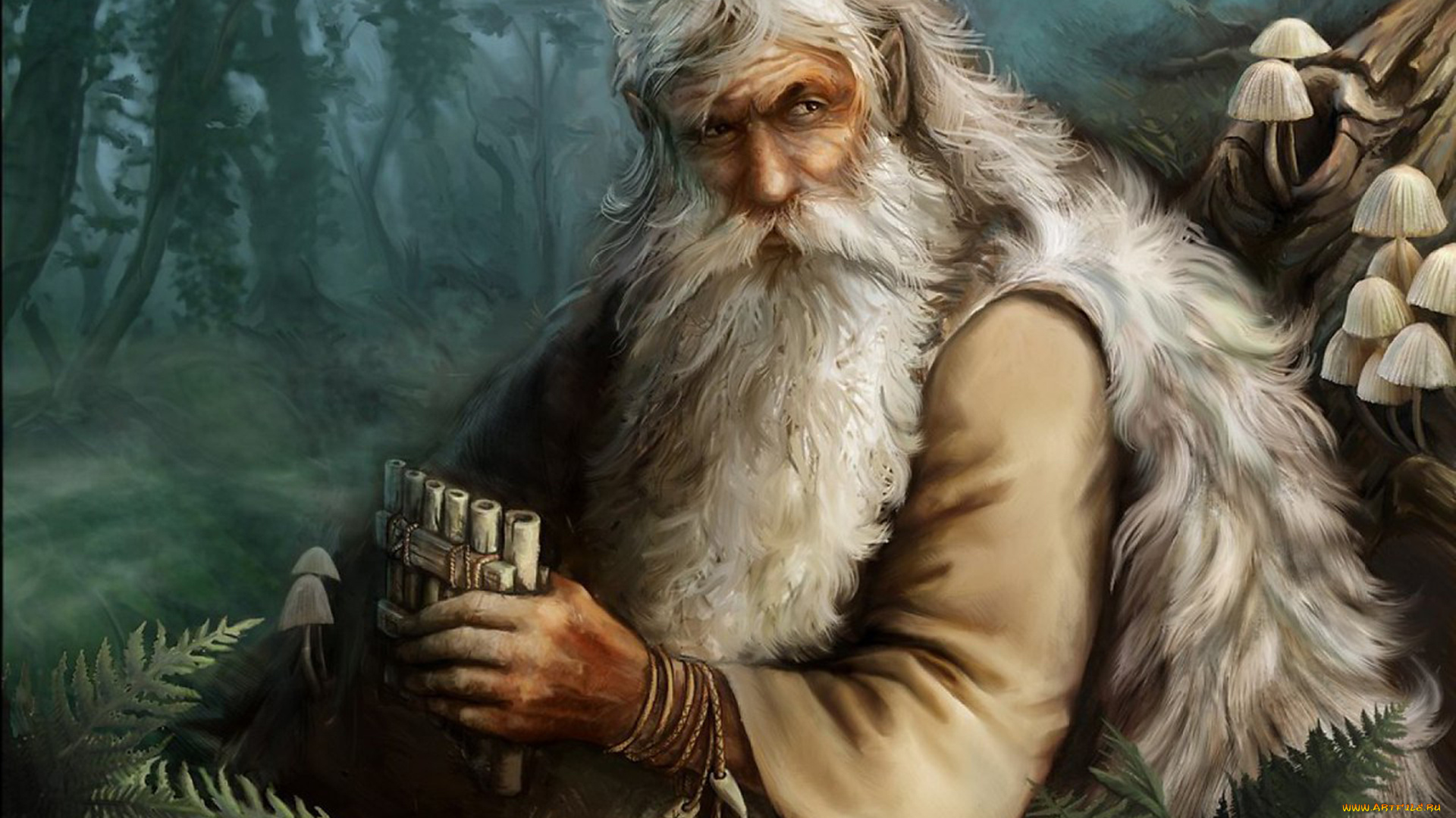 леший, фэнтези, существа, дух, леса, лесной, человек, старик, сказка