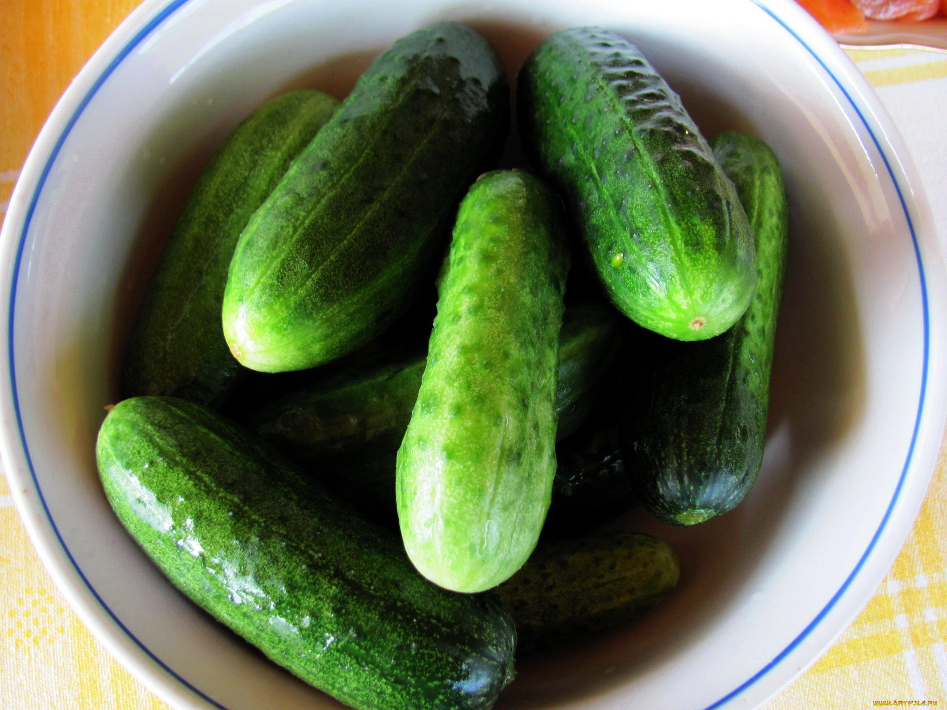 еда, огурцы, свежие