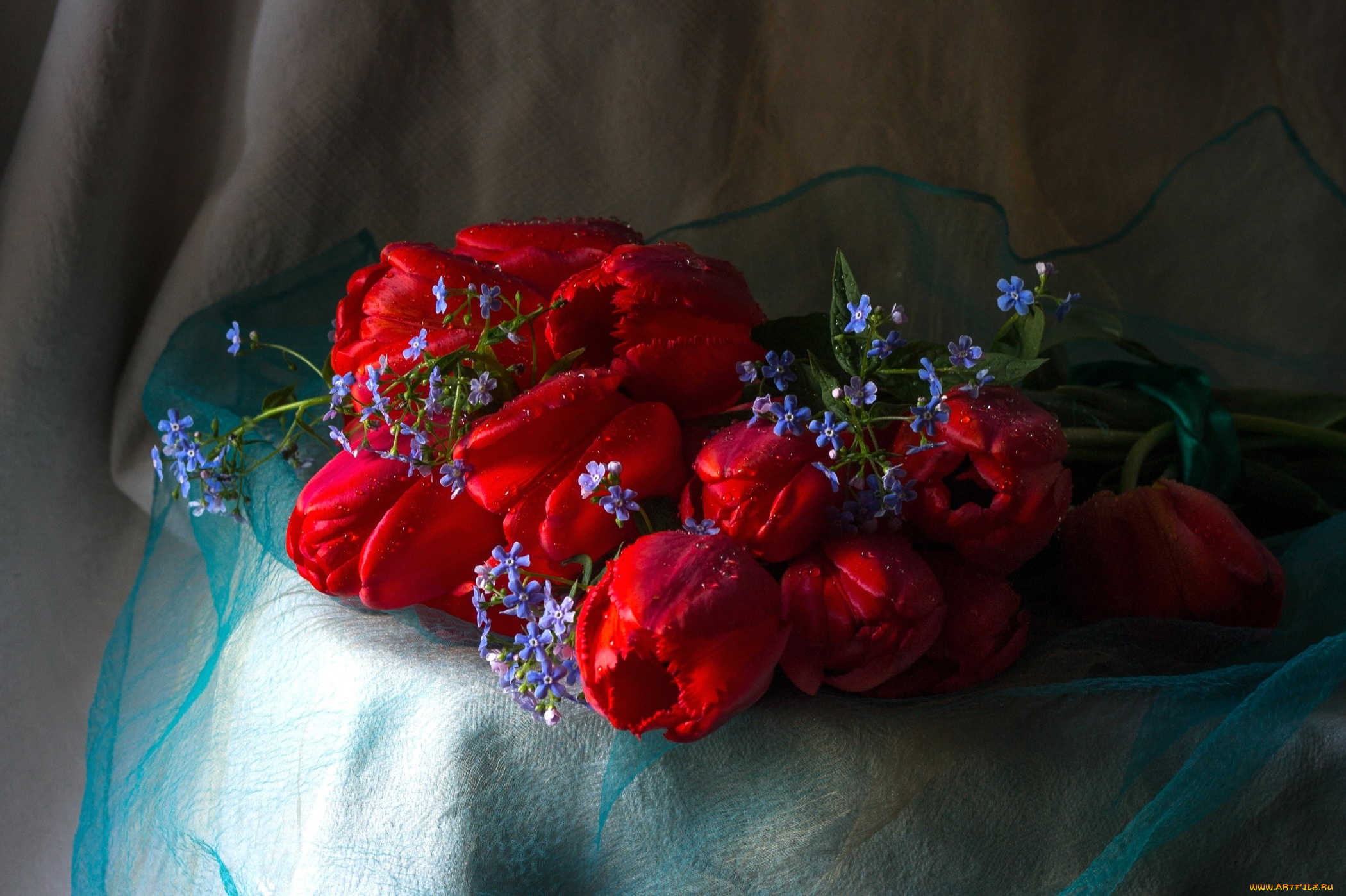 цветы, разные, вместе, незабудки, тюльпаны