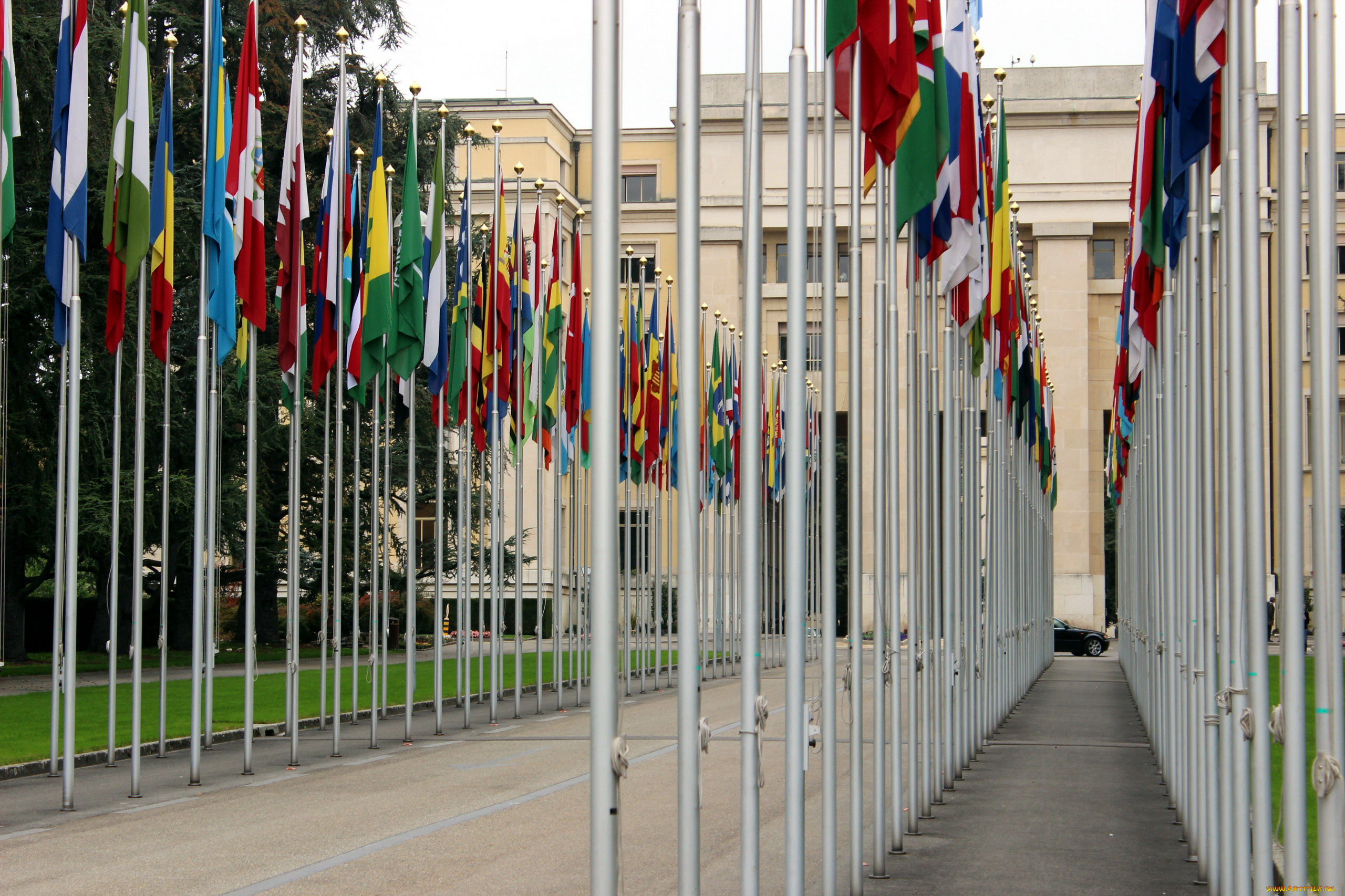 разное, флаги, , гербы, много