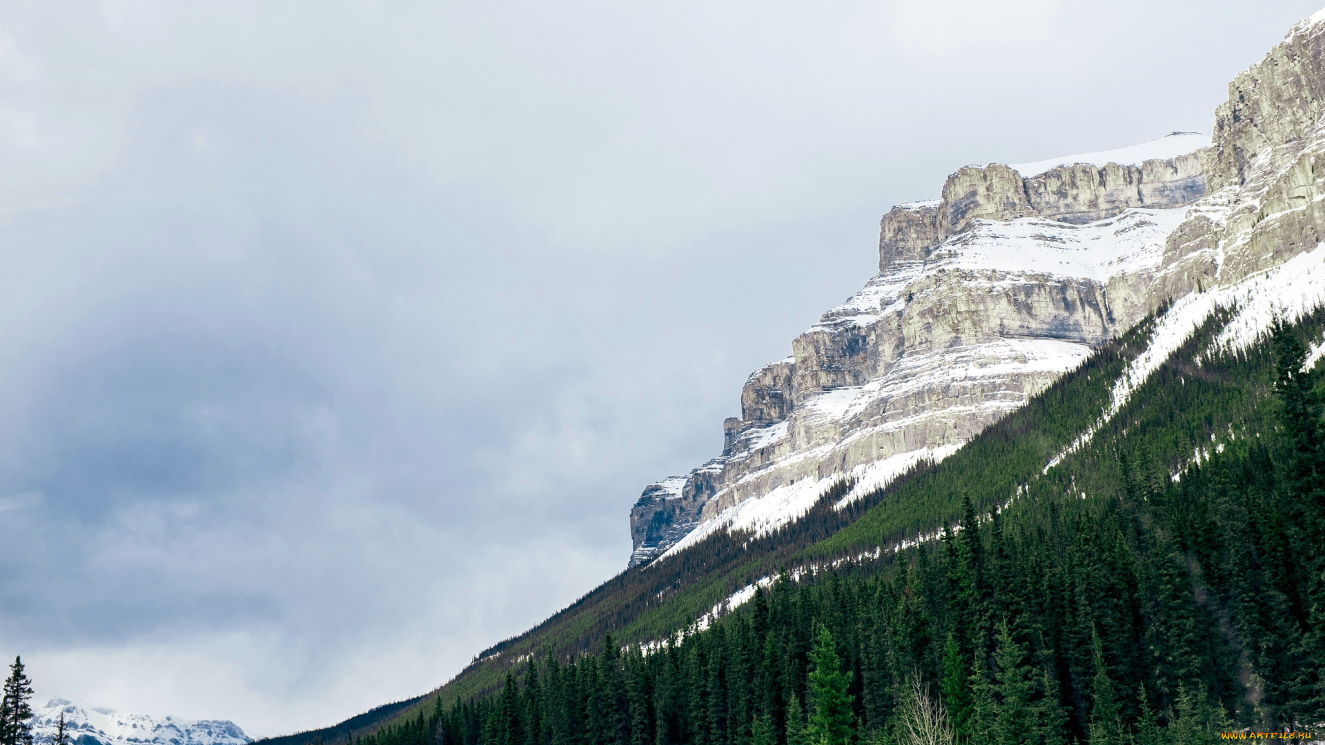 природа, горы, снег, вершина, деревья
