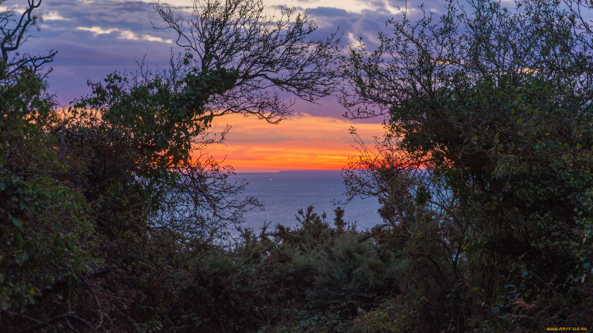 природа, побережье, море, берег