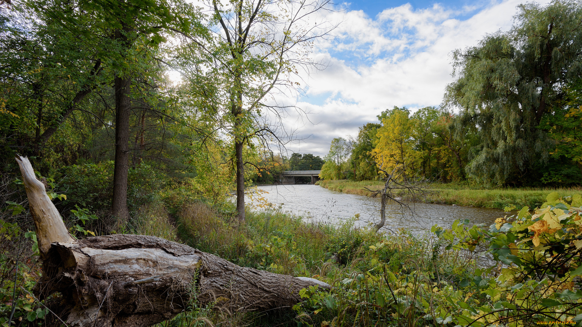 природа, побережье, море, берег