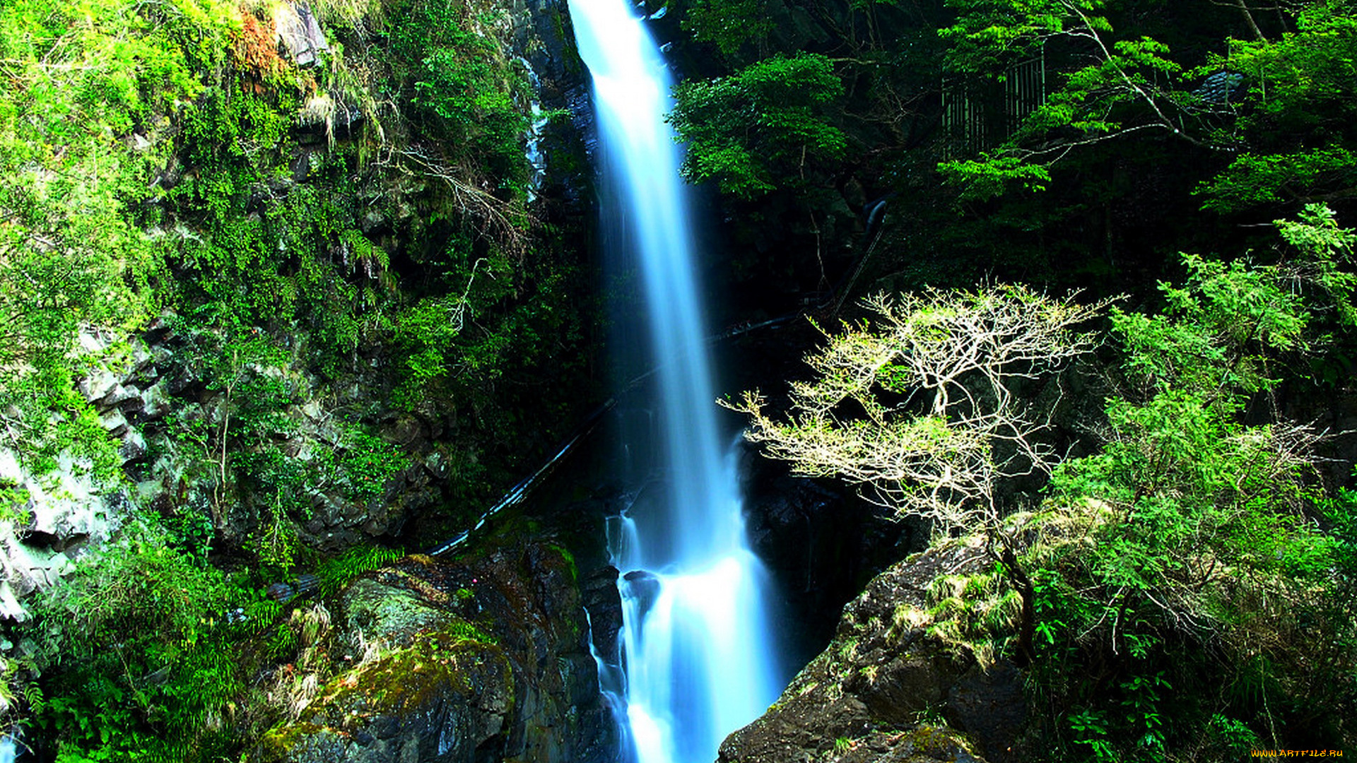 природа, водопады, дорога, водопад, камни, скала, ворота, лес