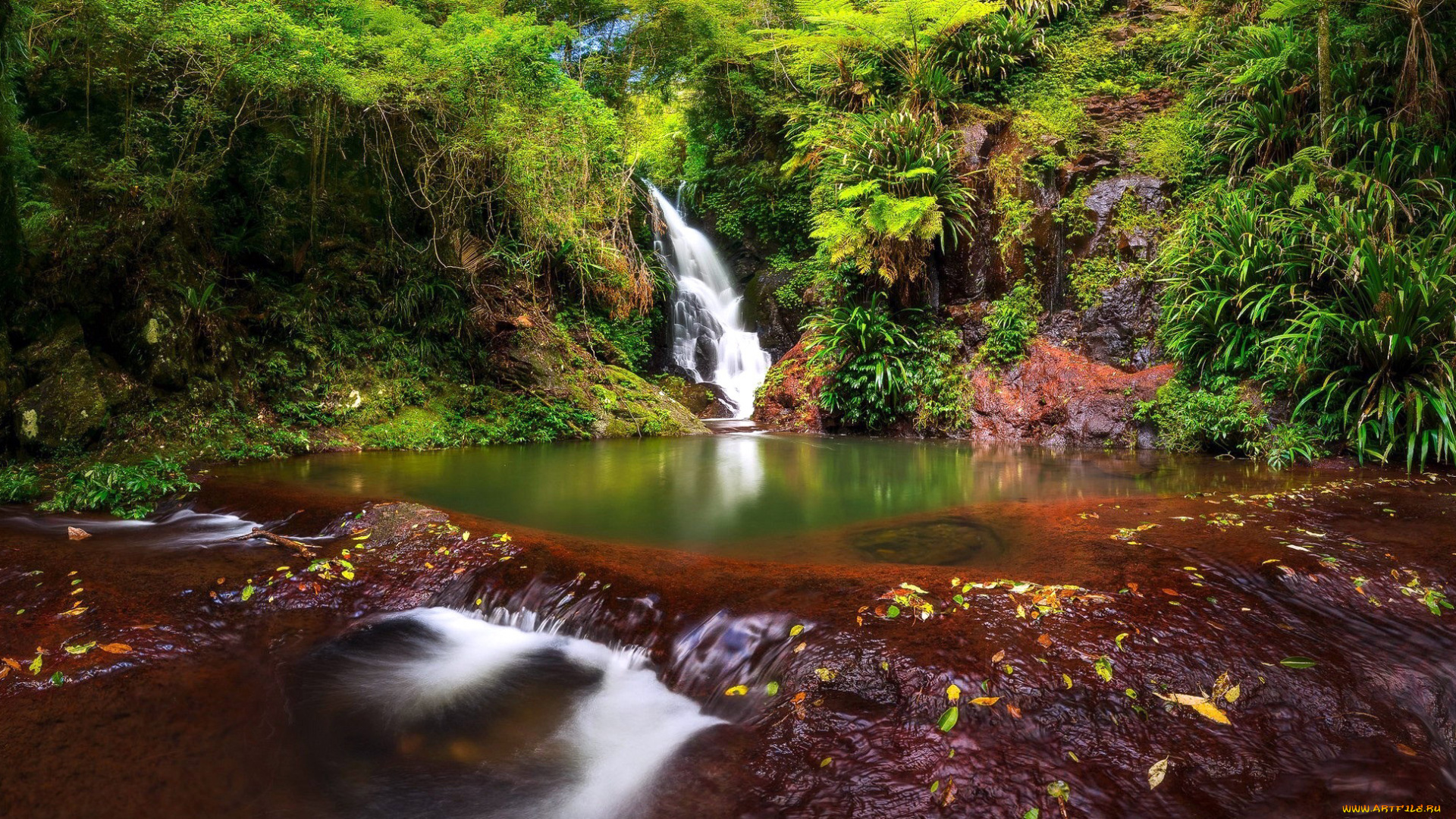 природа, водопады, водопад
