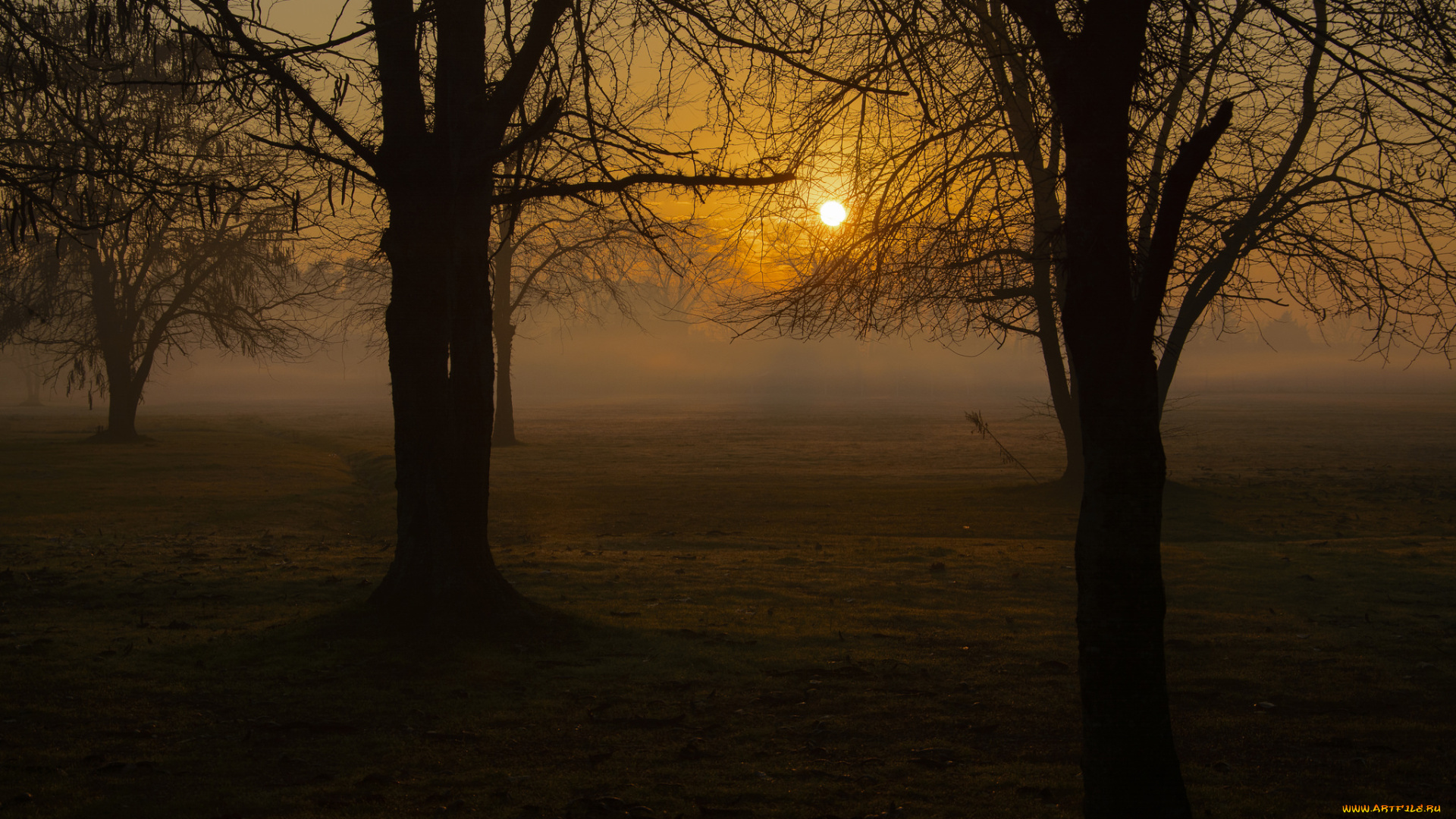 природа, восходы, закаты, рассвет