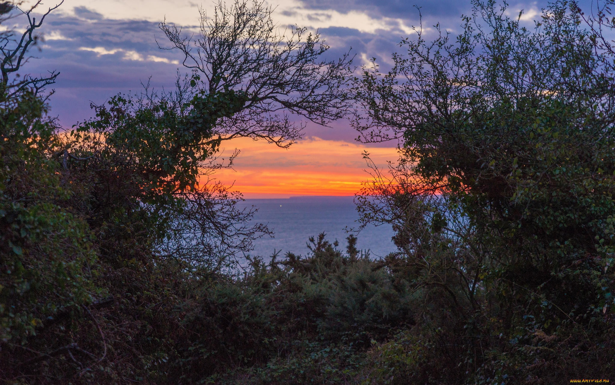 природа, побережье, море, берег