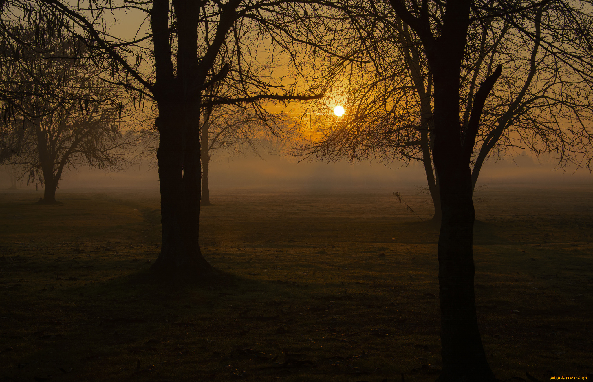 природа, восходы, закаты, рассвет