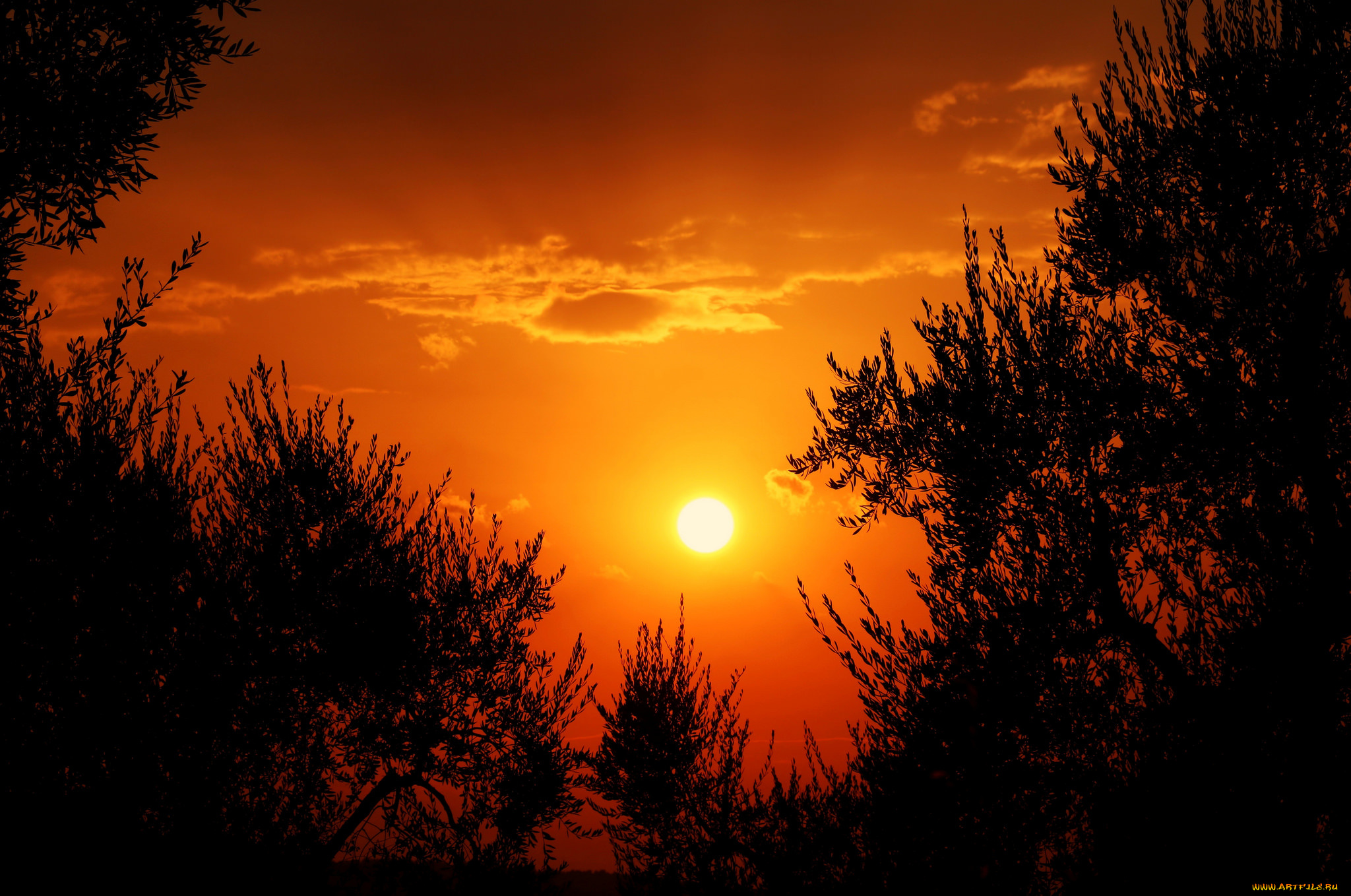 природа, восходы, закаты, рассвет