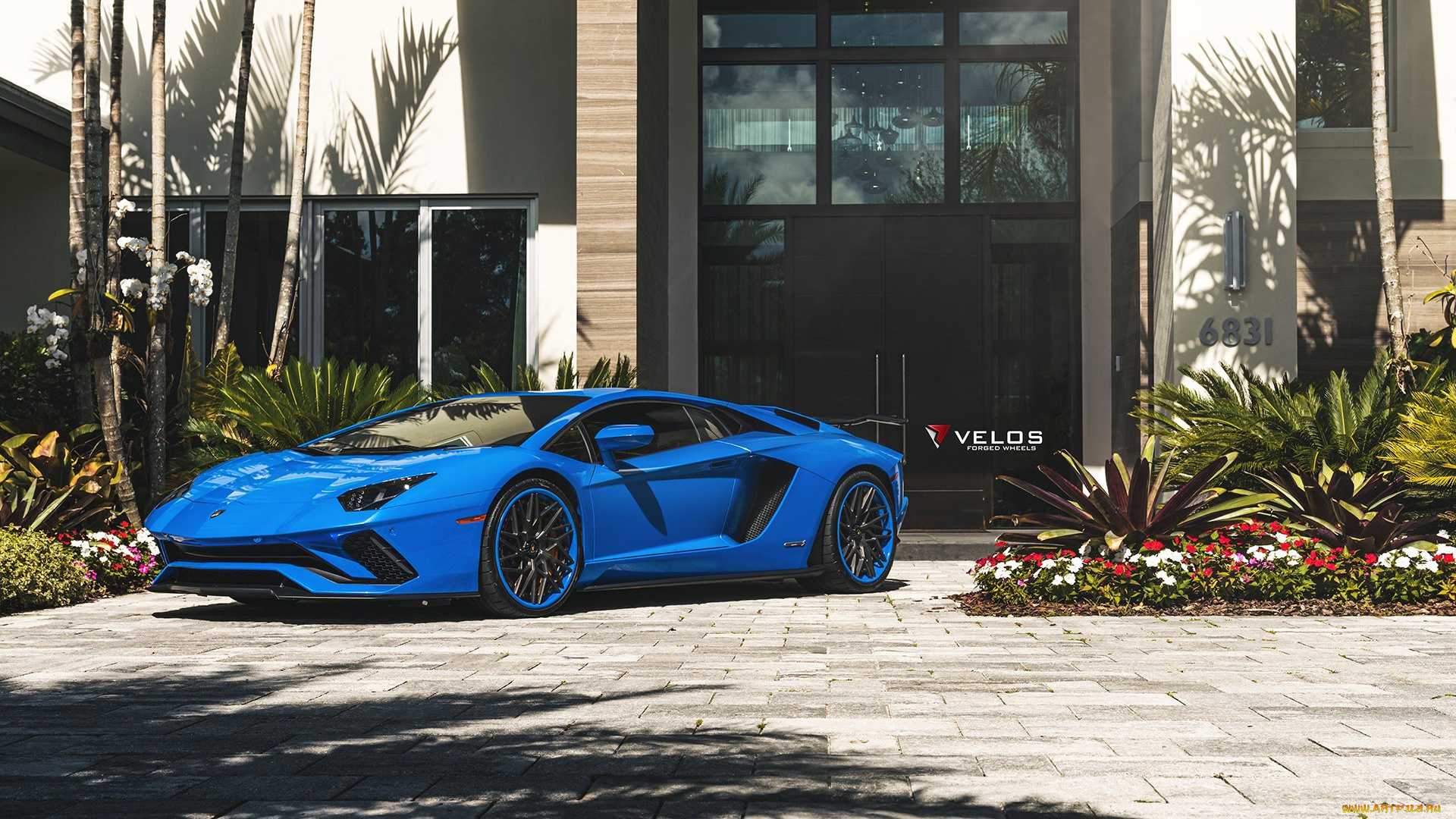 автомобили, lamborghini