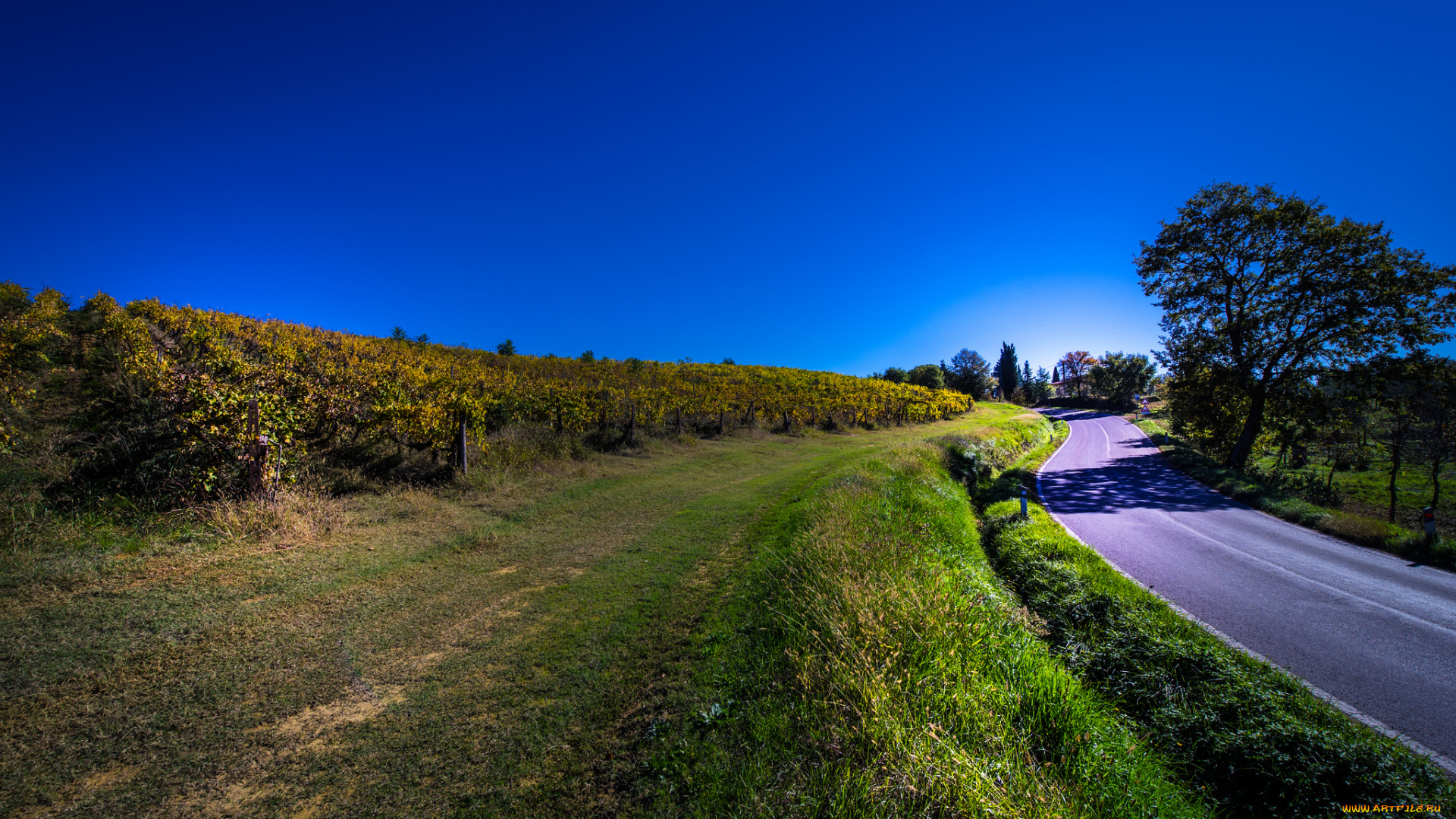 природа, дороги, простор