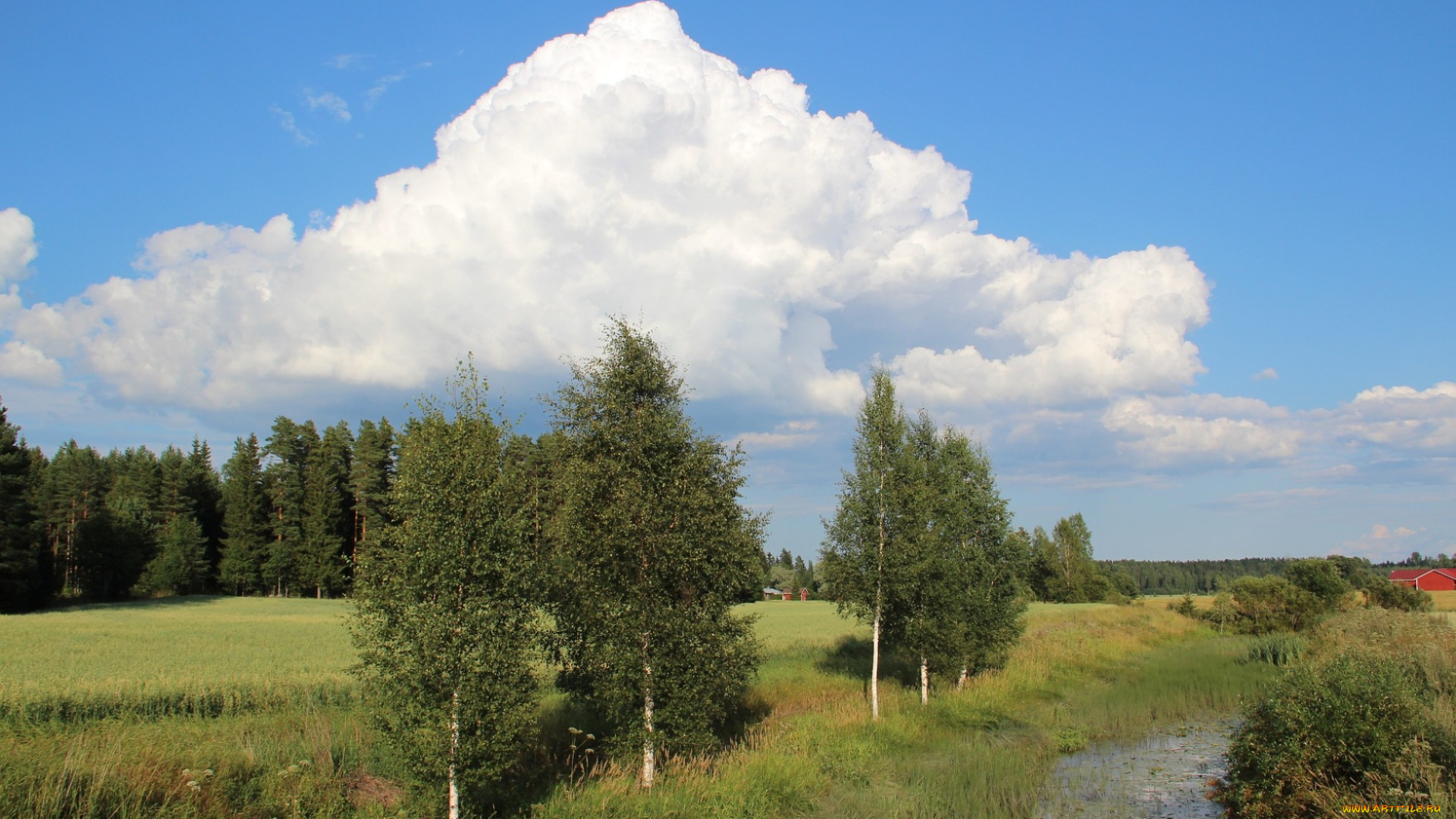 природа, пейзажи, лето, лес, облака, водоем