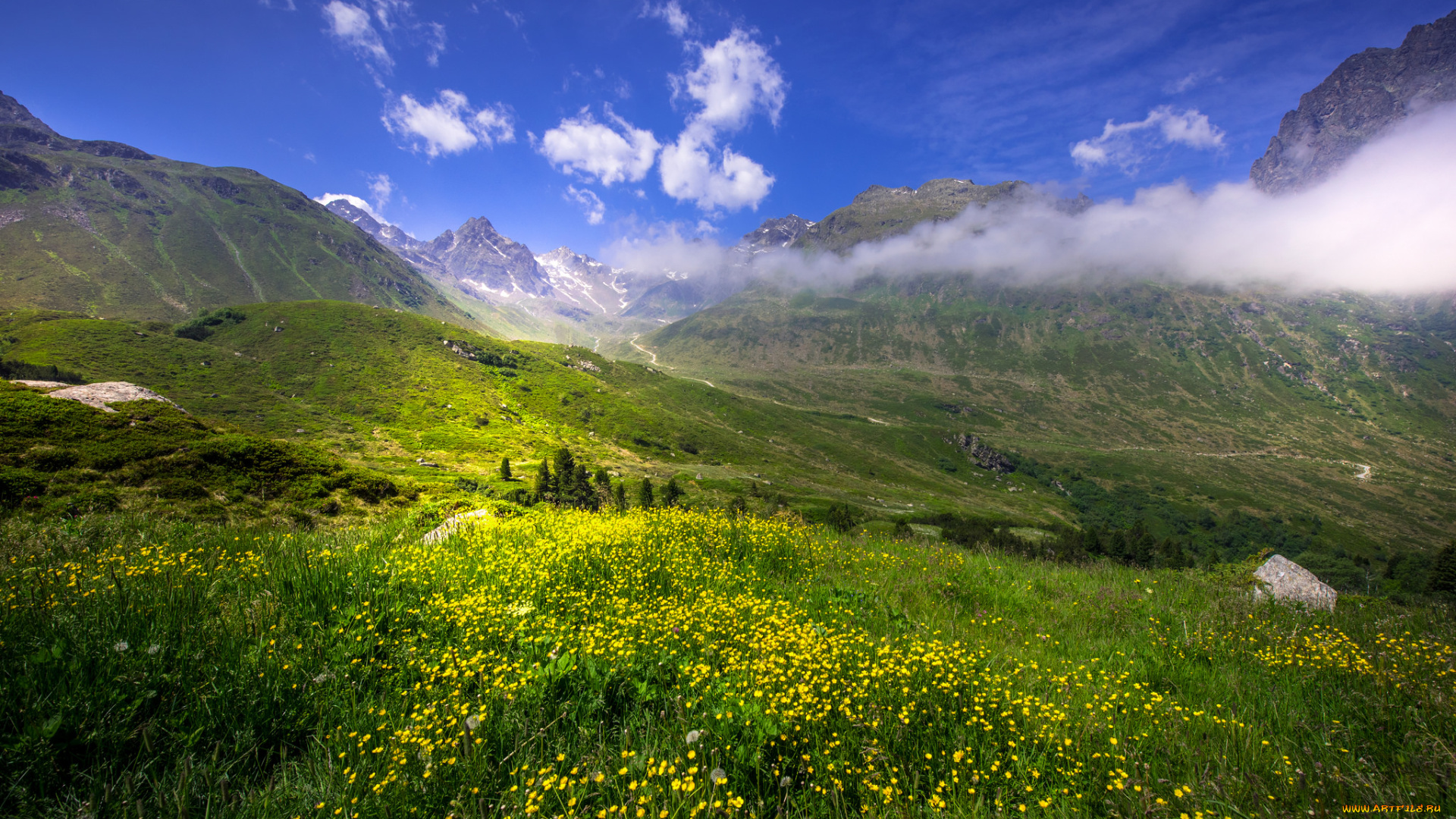 природа, пейзажи, простор