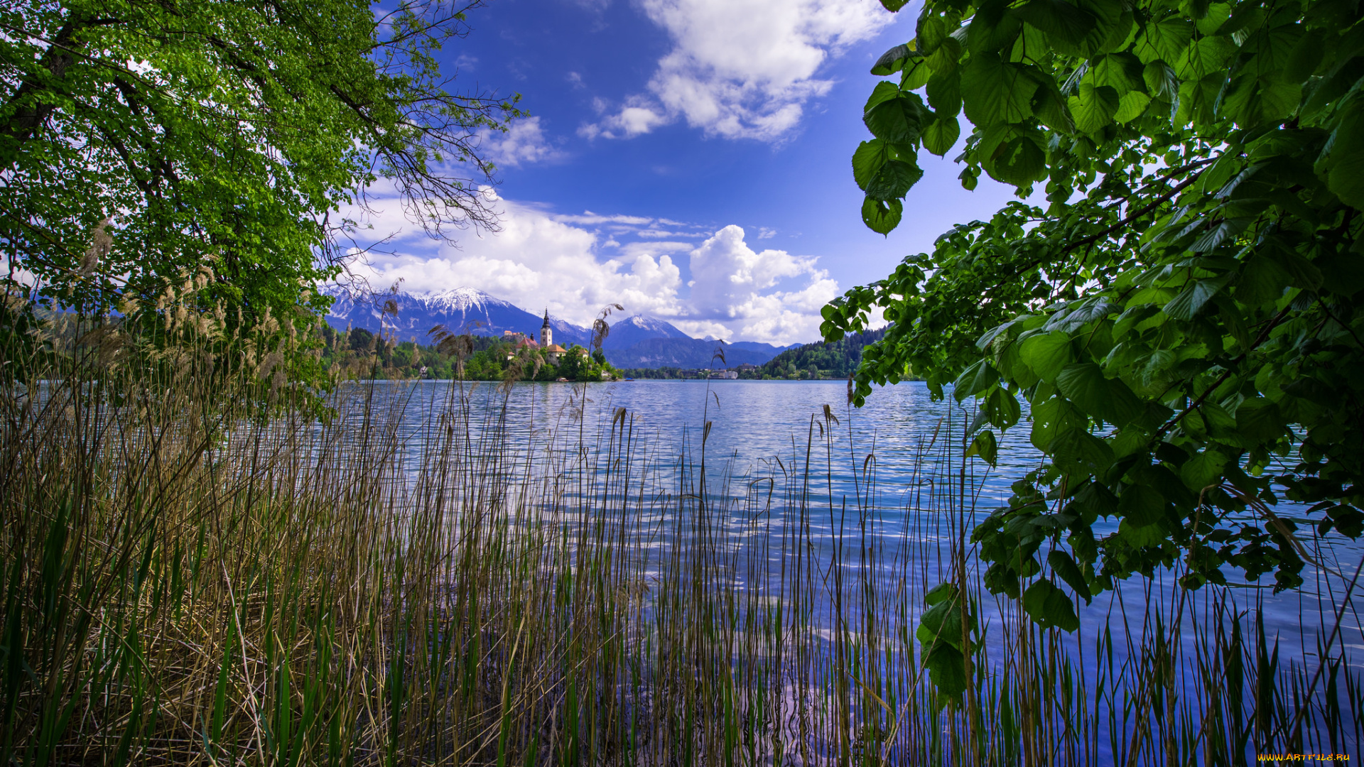 природа, реки, озера, простор