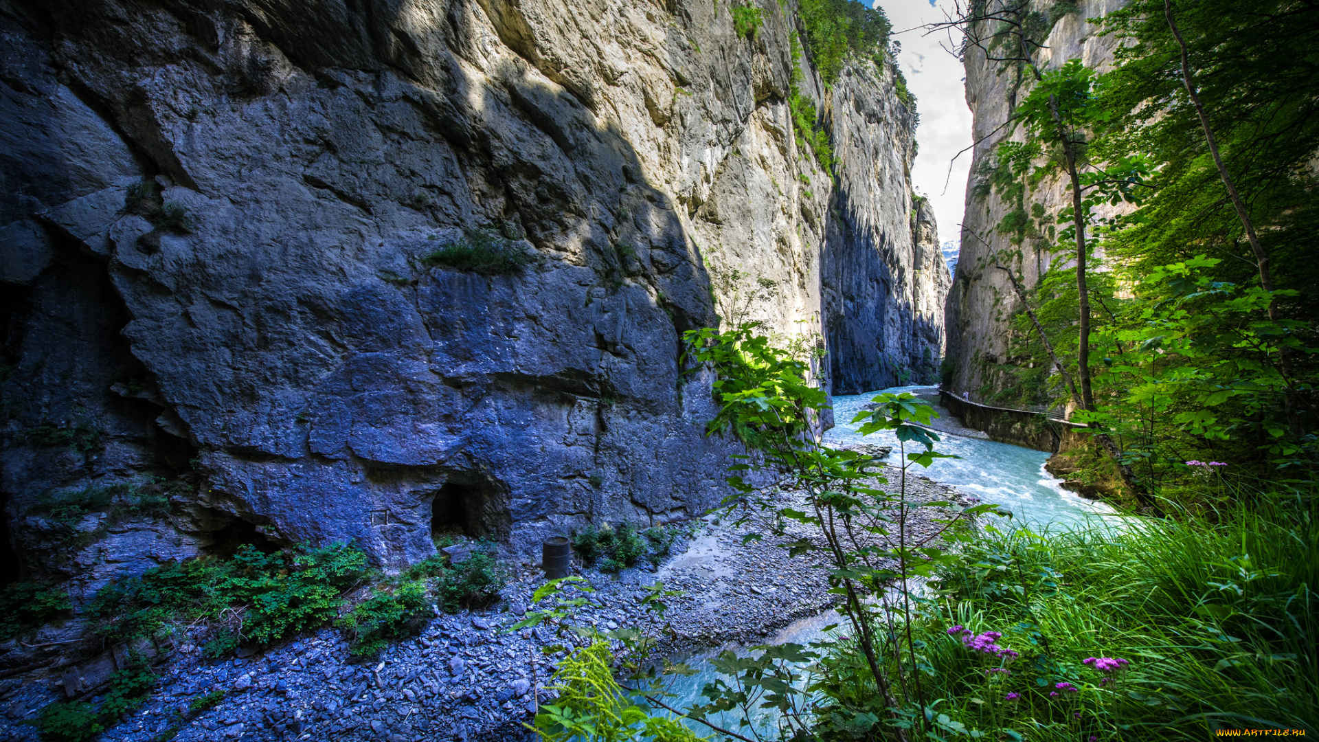 природа, реки, озера, простор