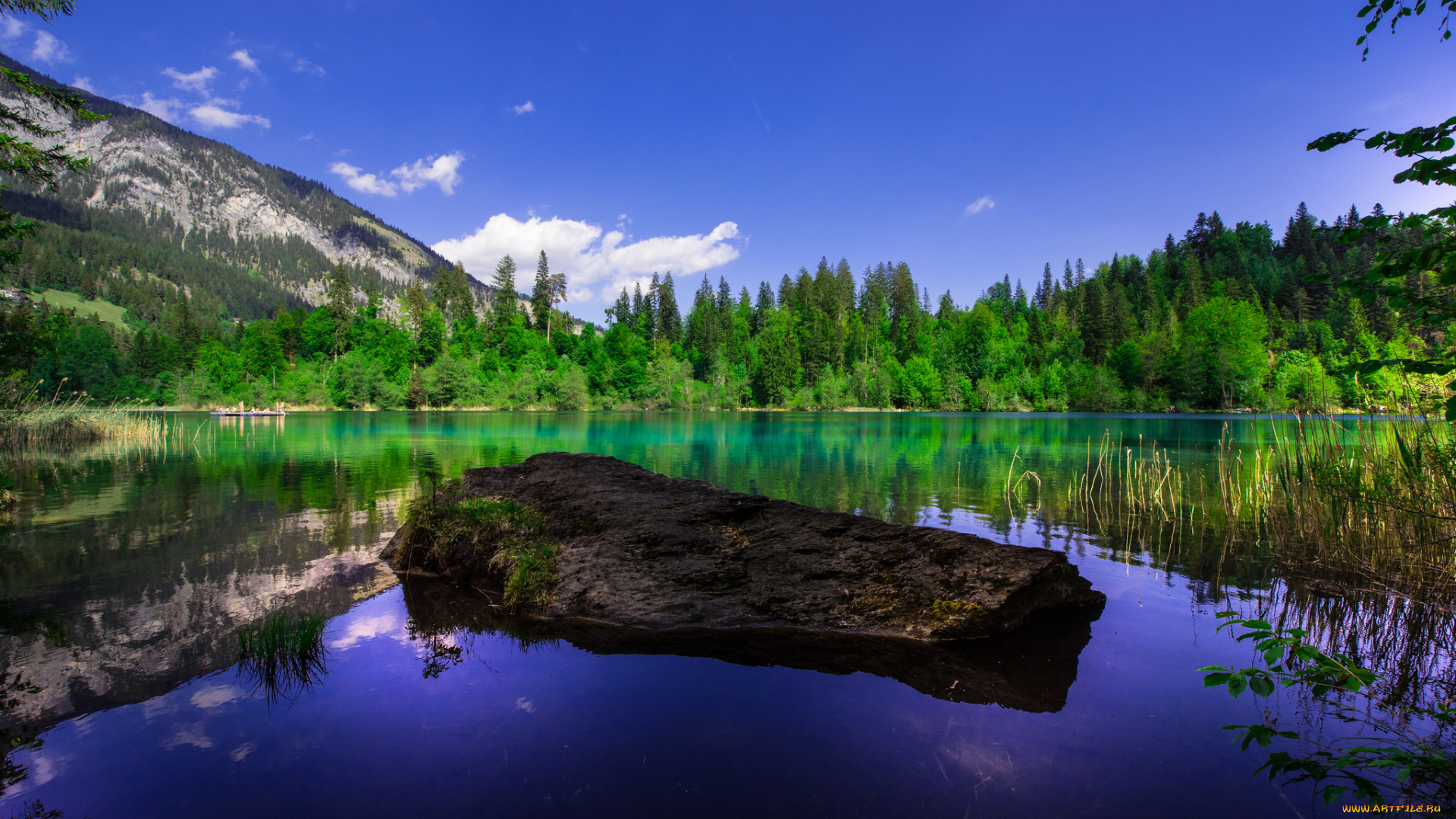 природа, реки, озера, простор