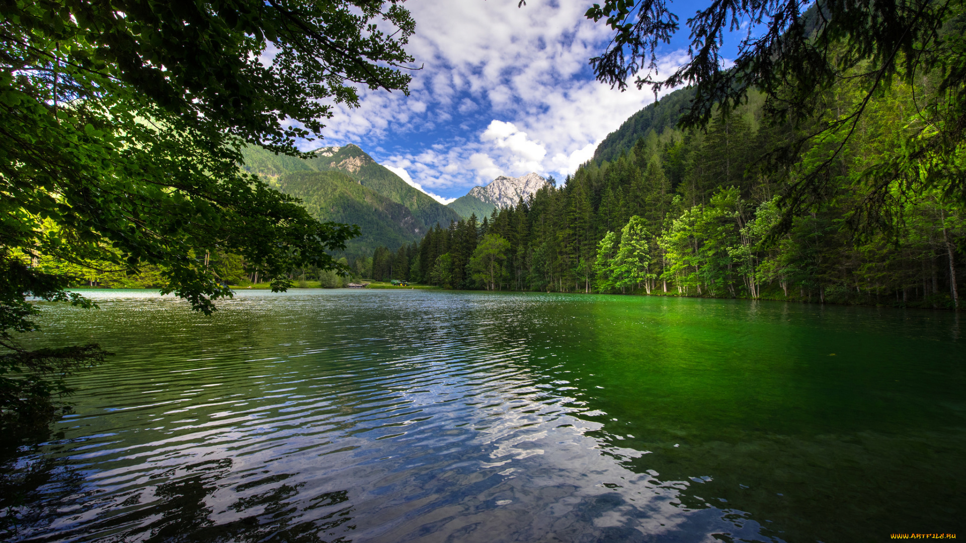 природа, реки, озера, простор