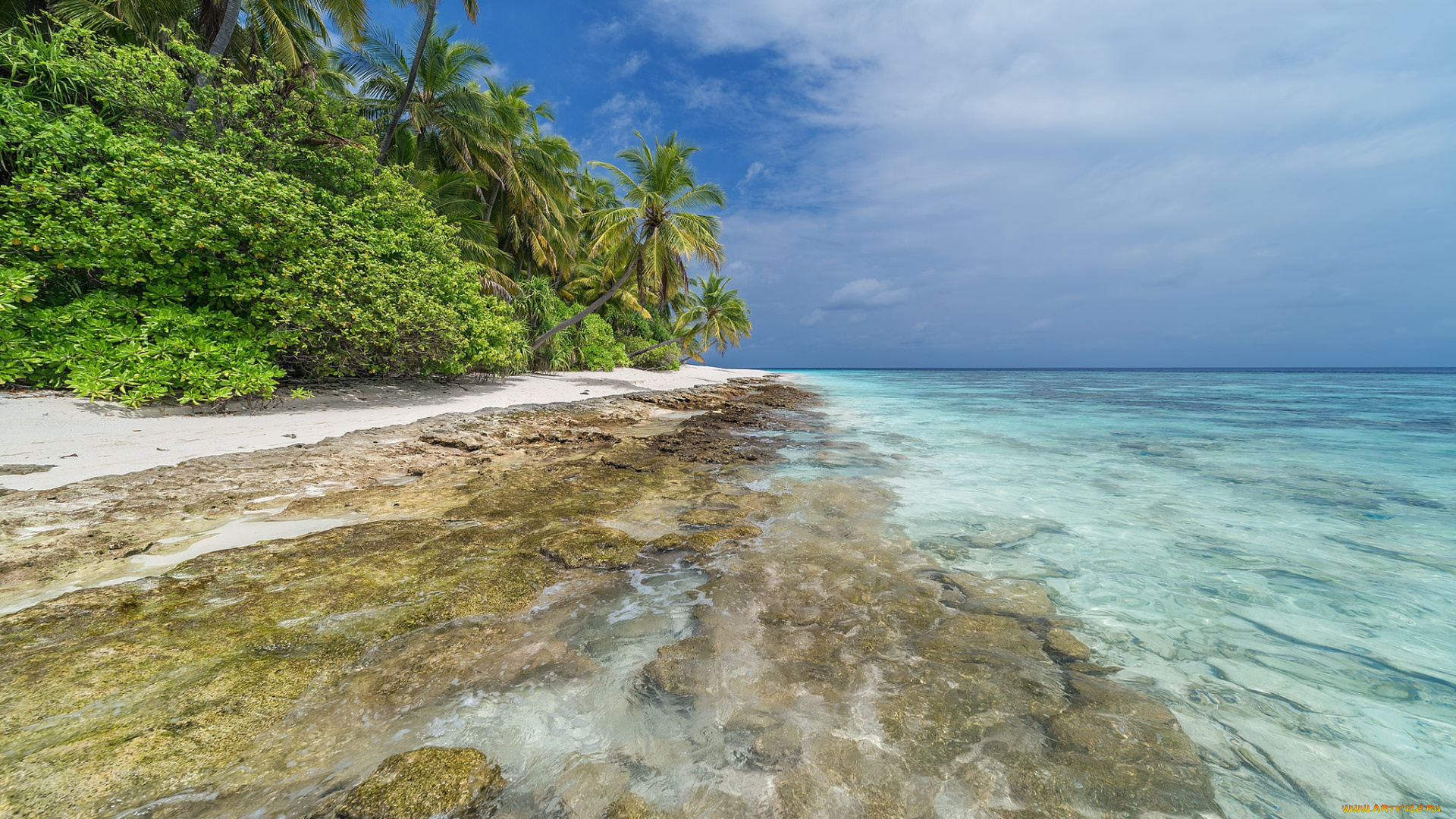 природа, тропики, простор