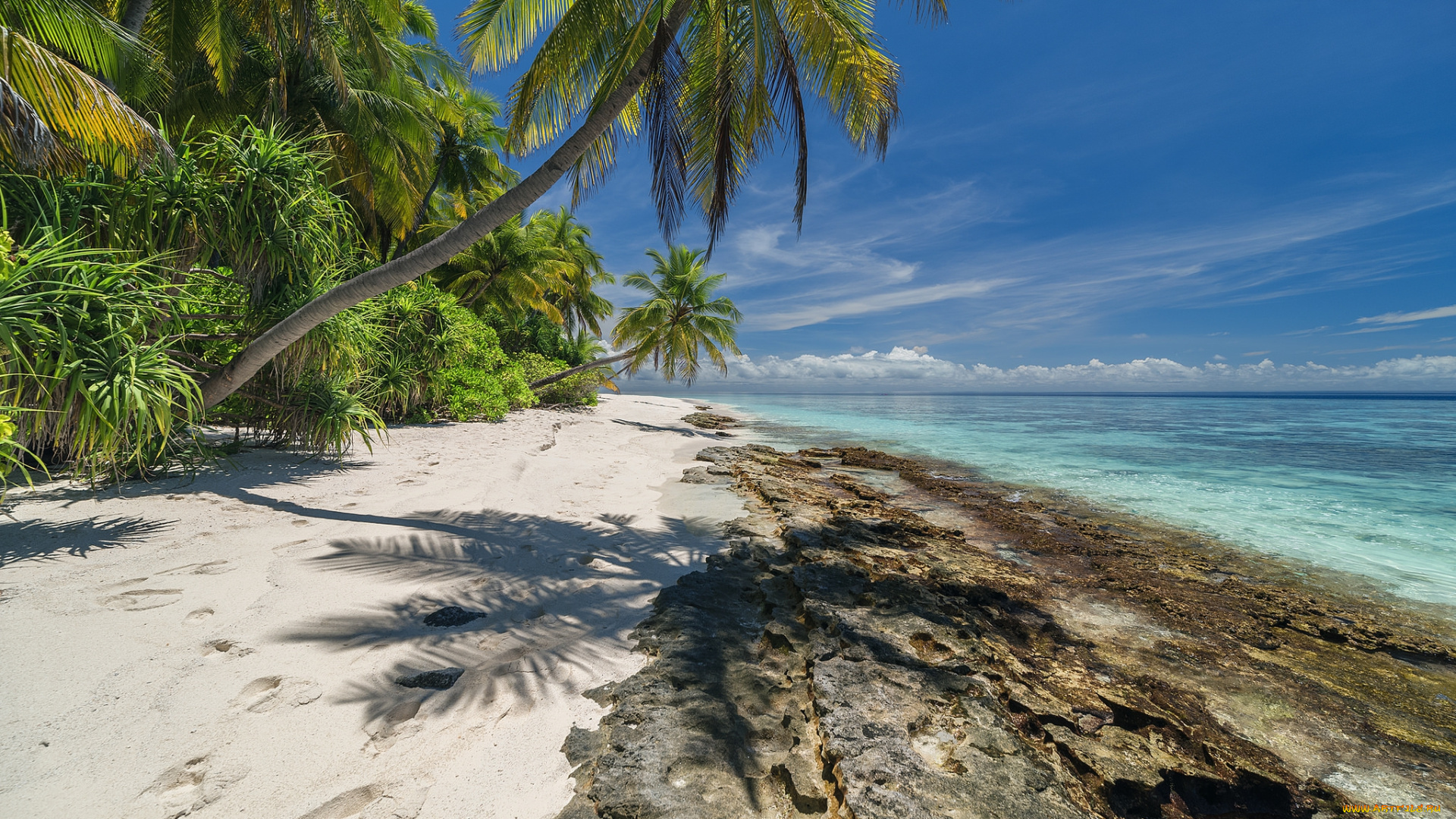 природа, тропики, простор