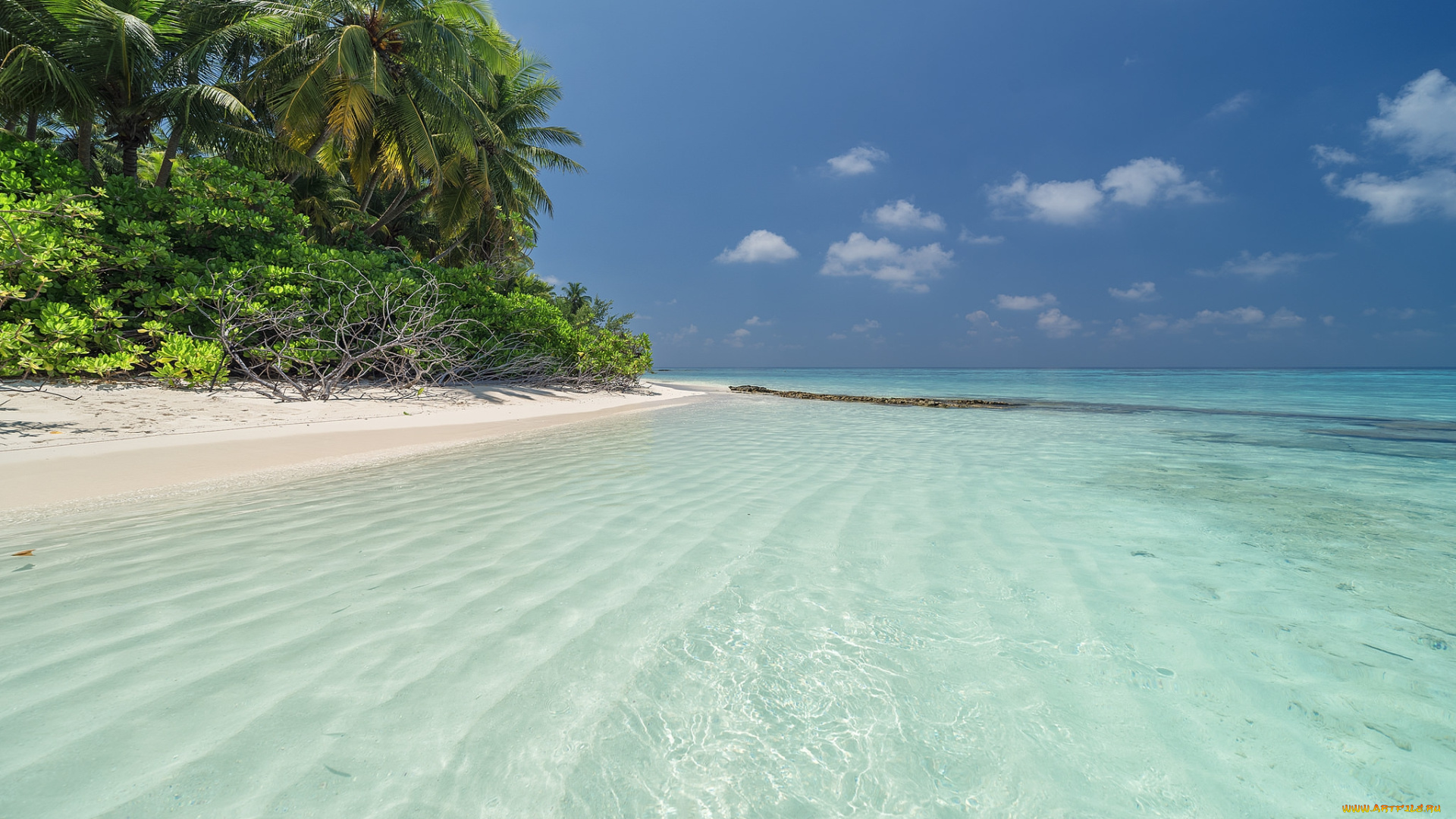 природа, тропики, простор