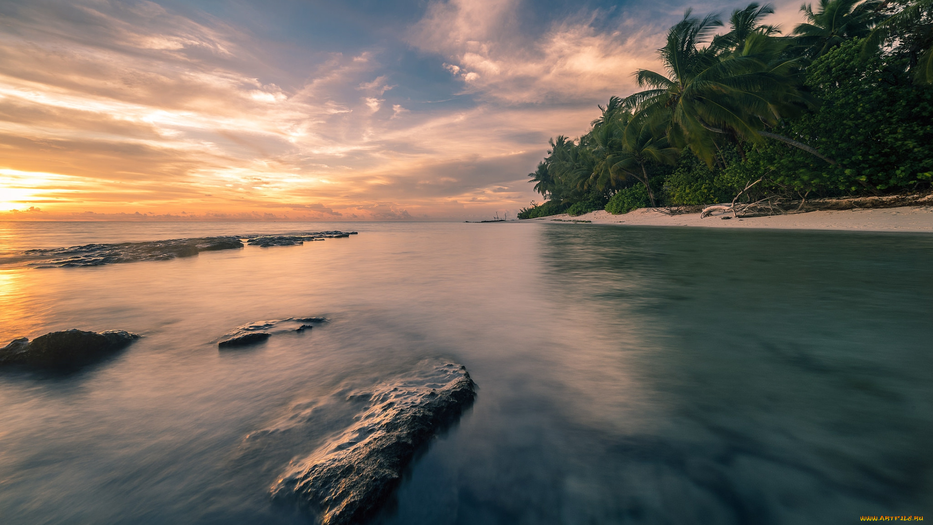 природа, тропики, простор