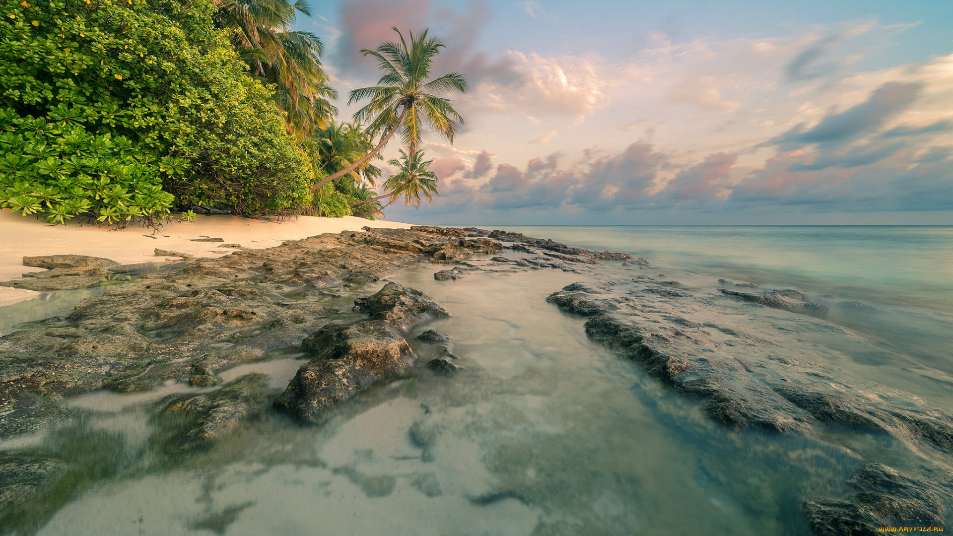 природа, тропики, простор