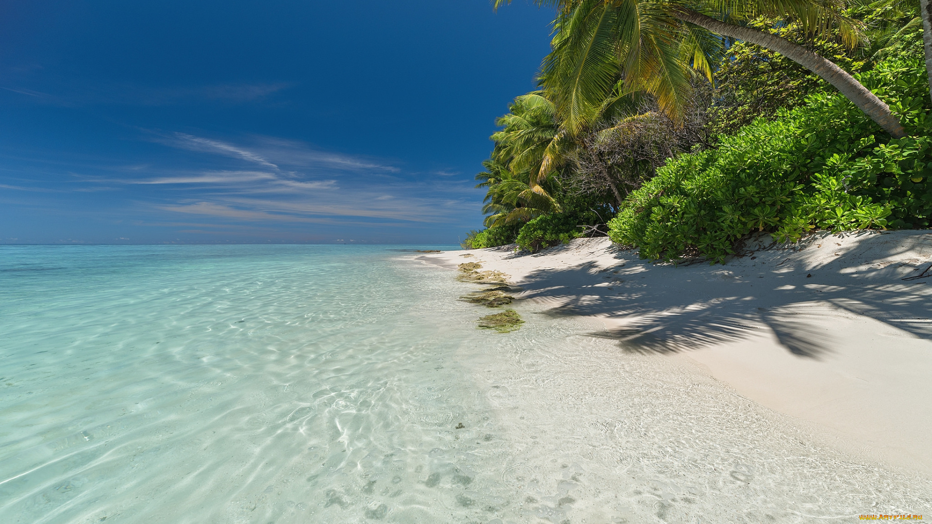 природа, тропики, простор