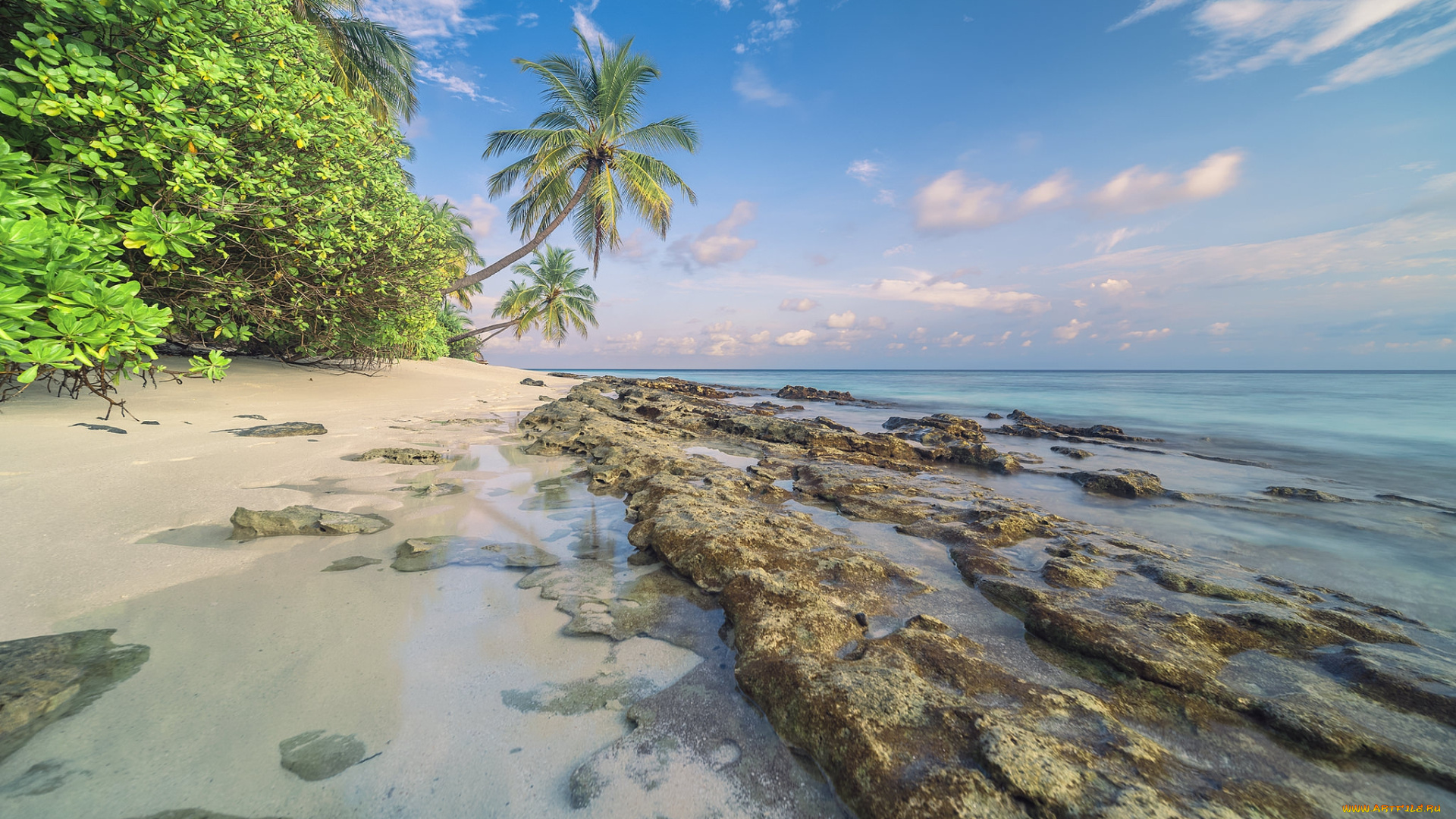 природа, тропики, простор